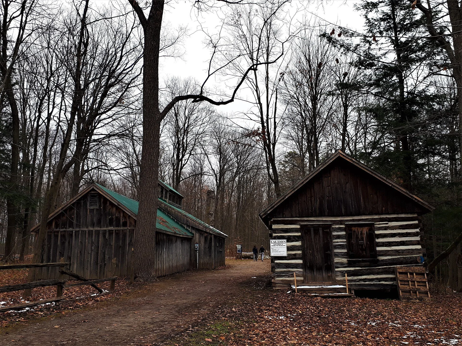 Old log and wood buildings among tall bare trees at Sheppard's Bush in Aurora, Ontario.