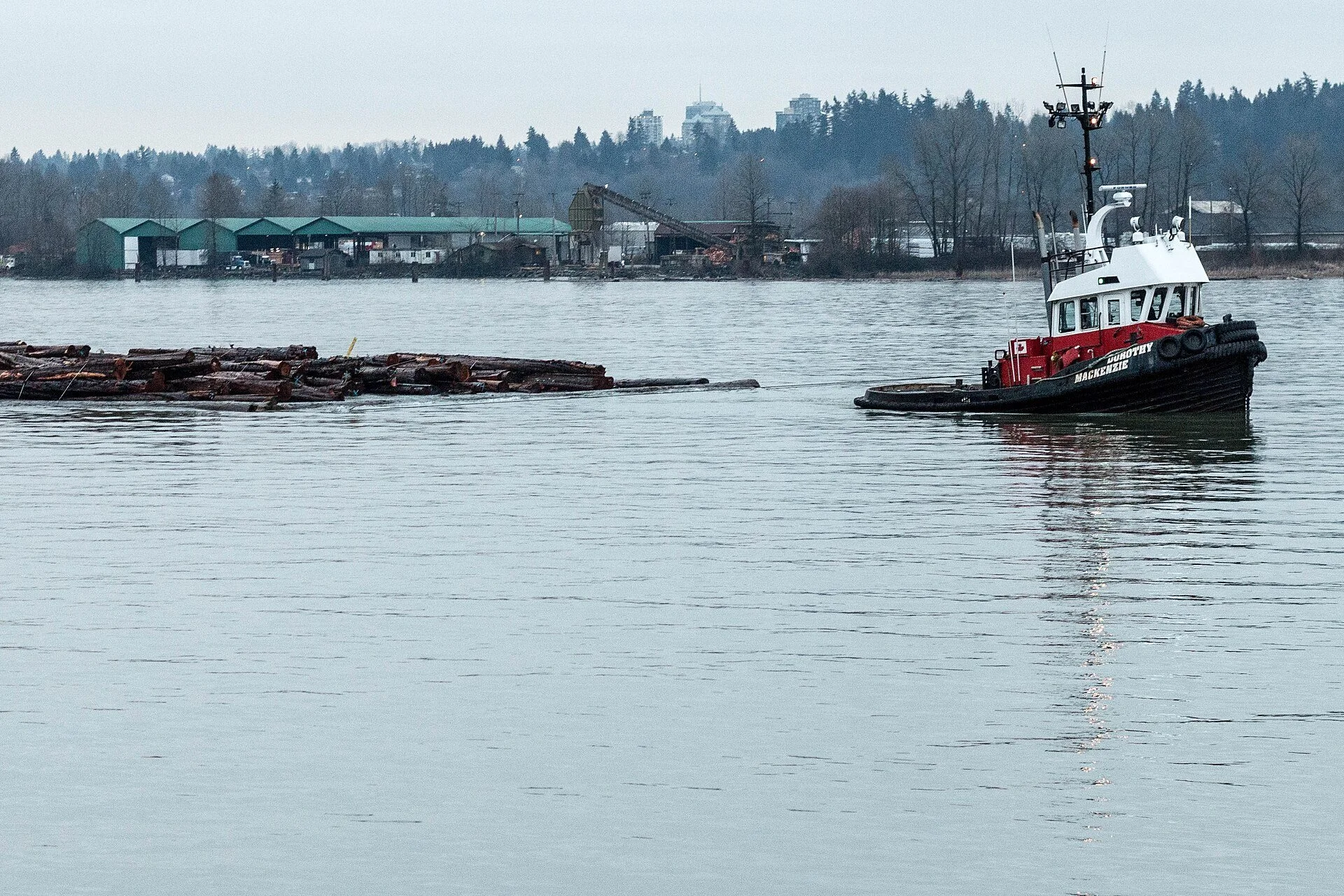 A red and white tugboat working beside a log boom on the Fraser River, seen from the New Westminster Quay.