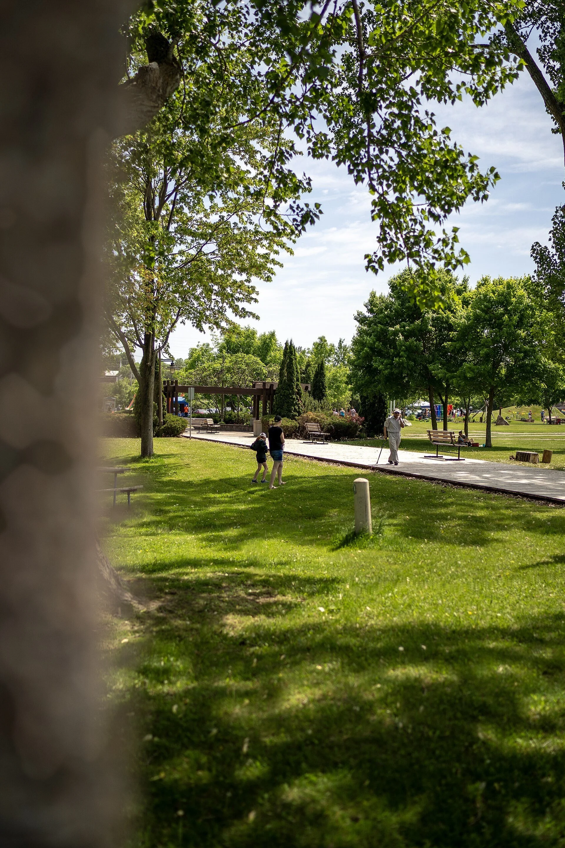 A paved path and green lawn under shade trees at Pembroke Waterfront Park.