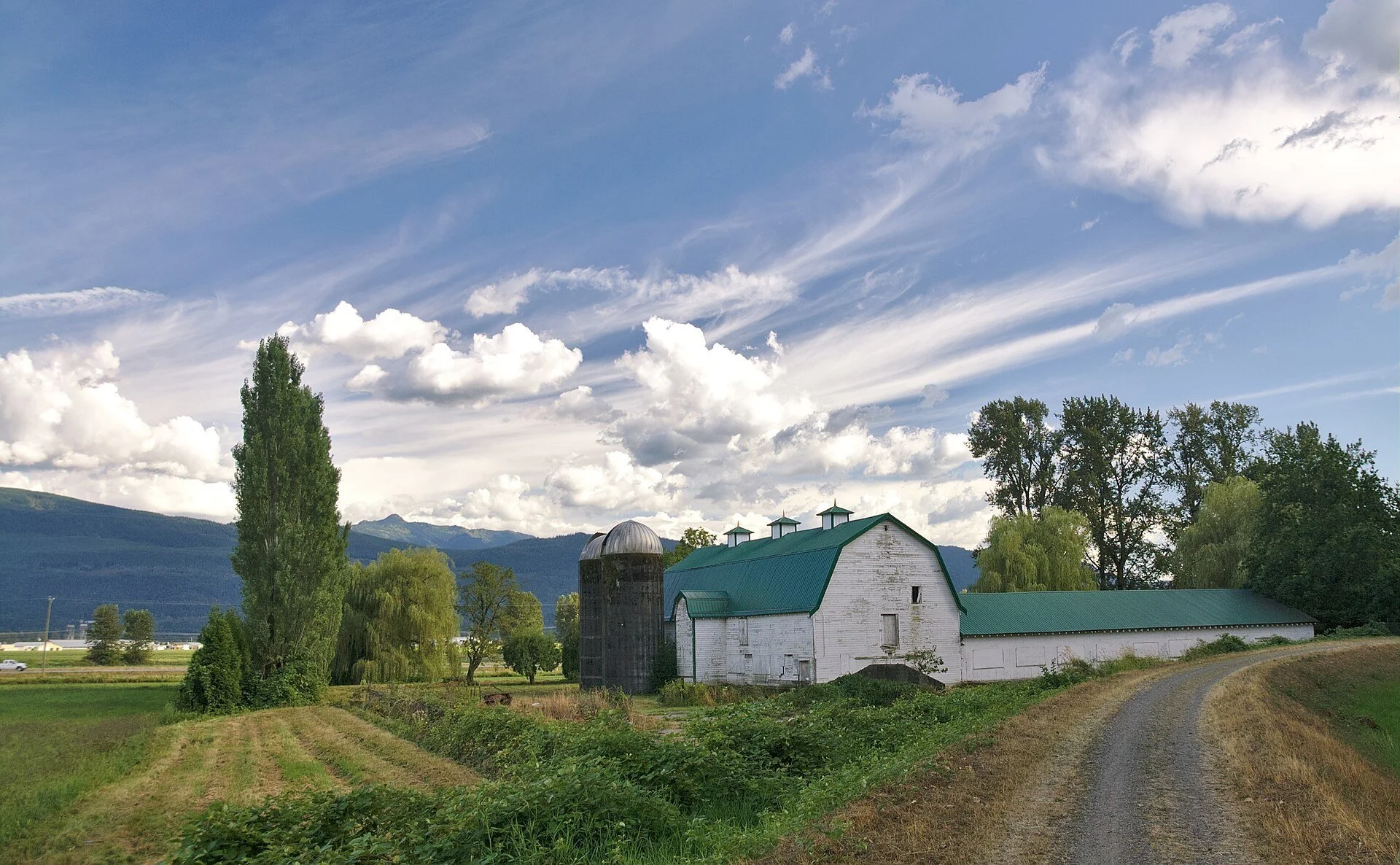 A farmhouse and barn among the fields of Abbotsford, BC.