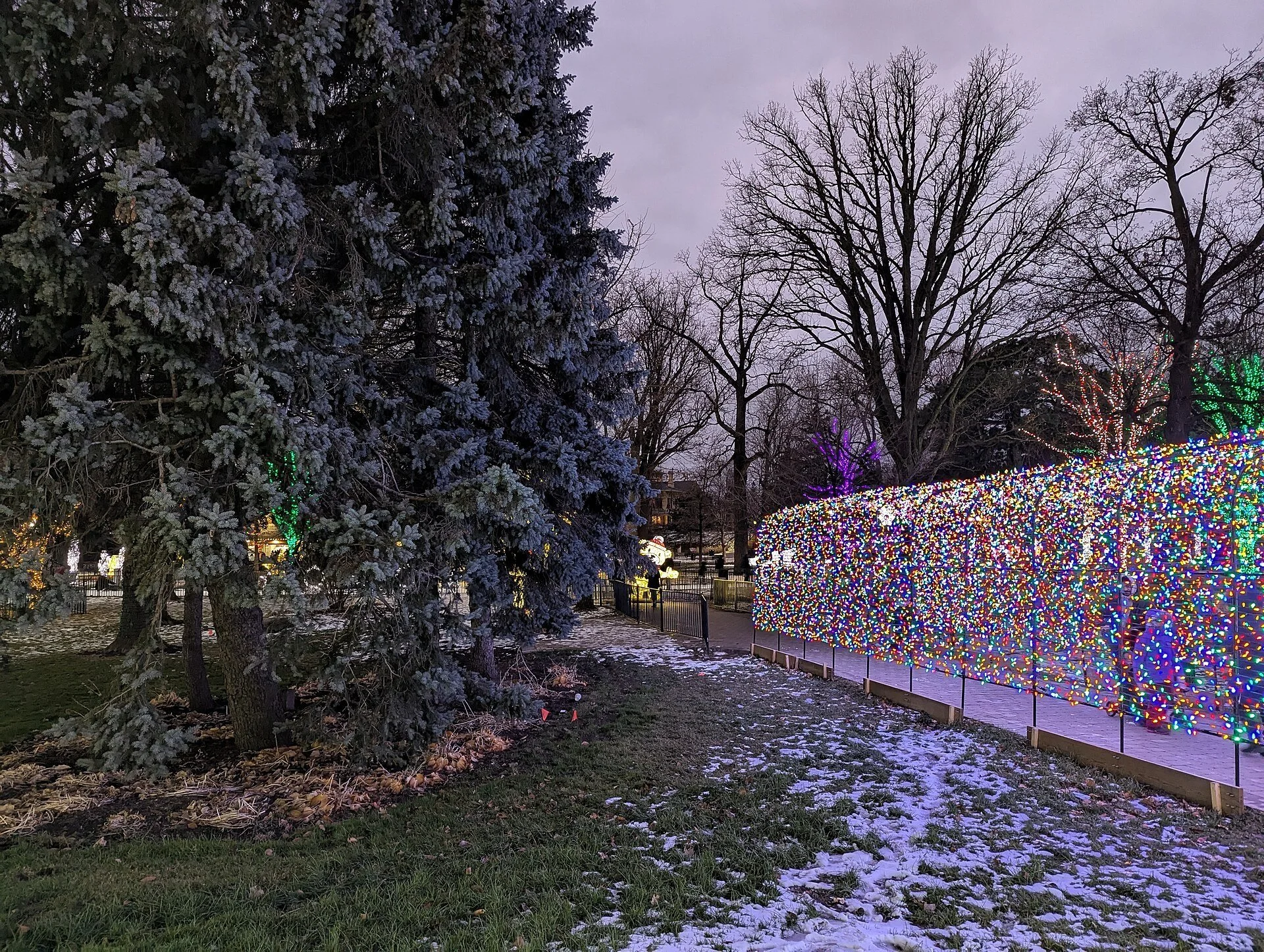 A path through Gage Park in Brampton on a December evening, with a light dusting of snow and a wall of holiday lights.