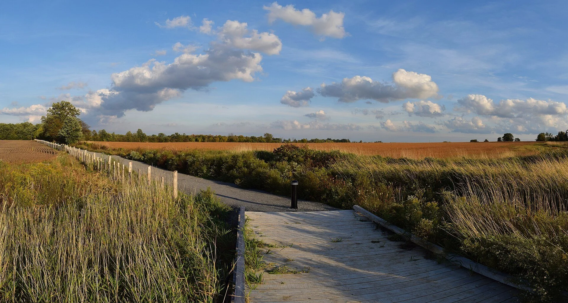 A paved trail with a wooden railing running past tall grasses and farm fields in Rouge park under late-day clouds.