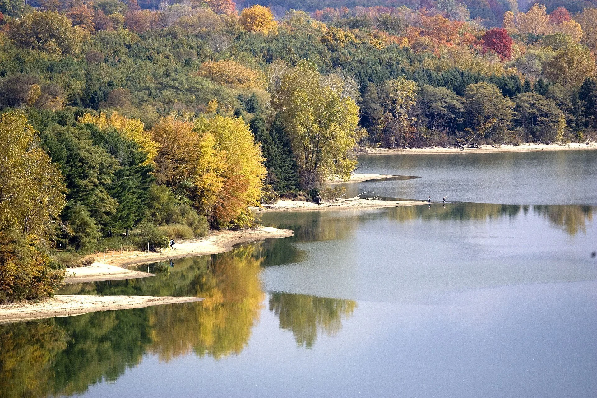 Autumn colour along the north shore of the lake in Woodstock.