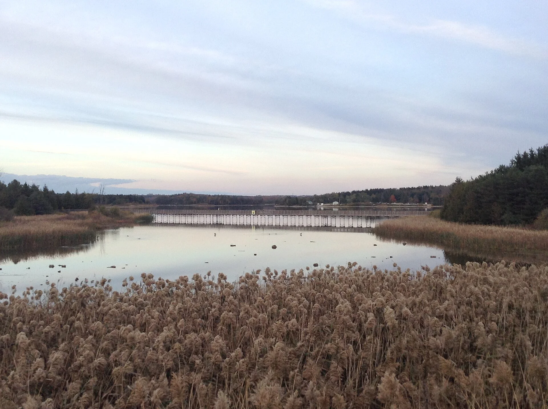 Island Lake in the Island Lake Conservation Area in Orangeville.