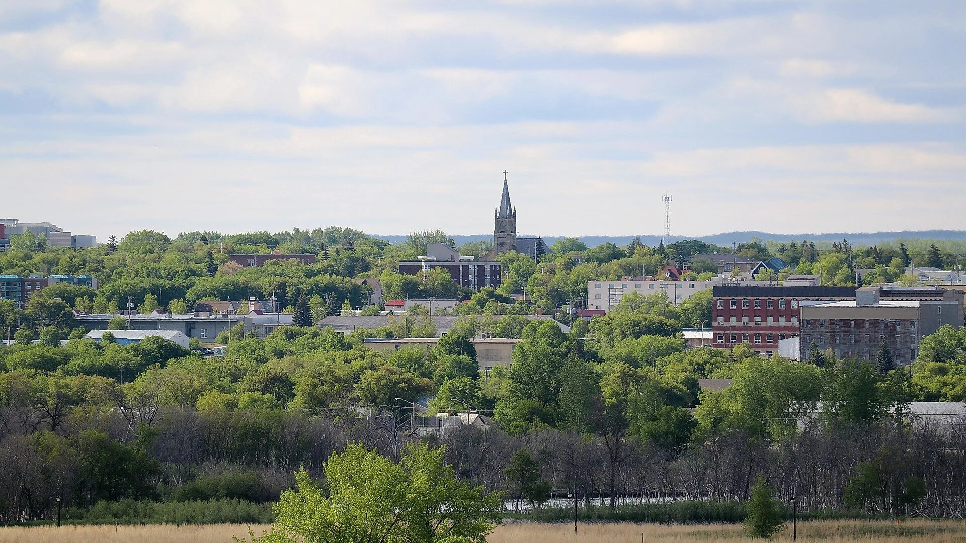 A view over the trees to downtown Brandon around Rosser Avenue, with a church spire on the skyline.