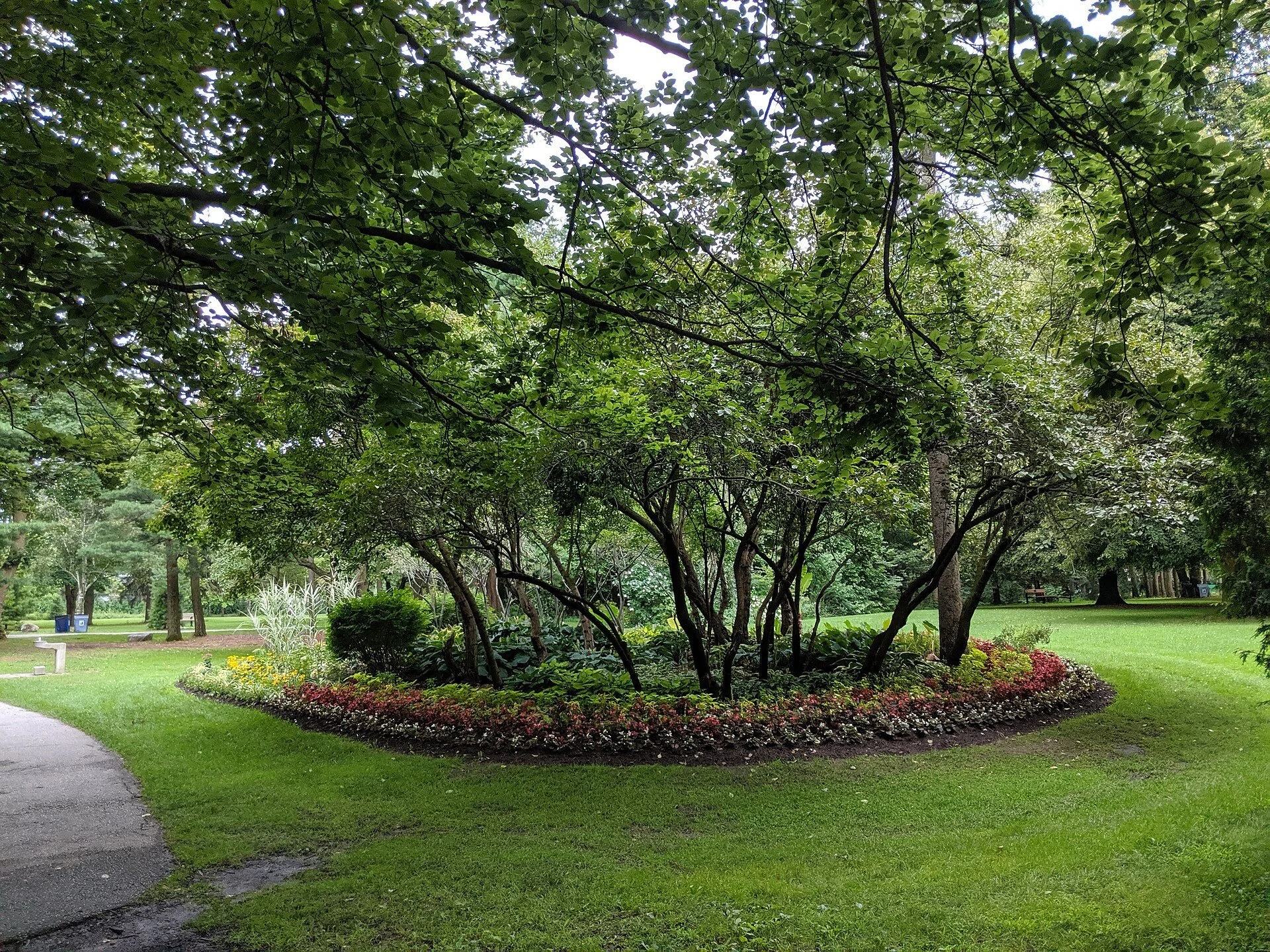 Paths and greenery at Edwards Gardens in North York in summer.