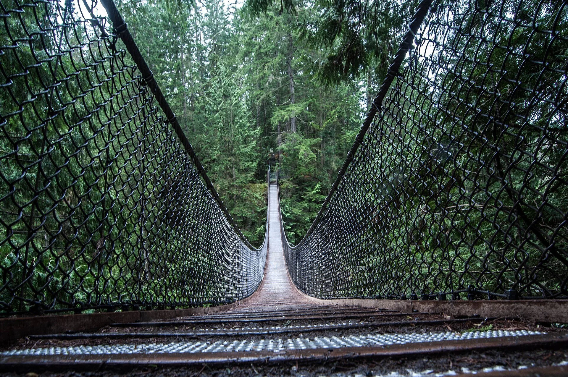 The Lynn Canyon Suspension Bridge stretching across a forested canyon in North Vancouver.