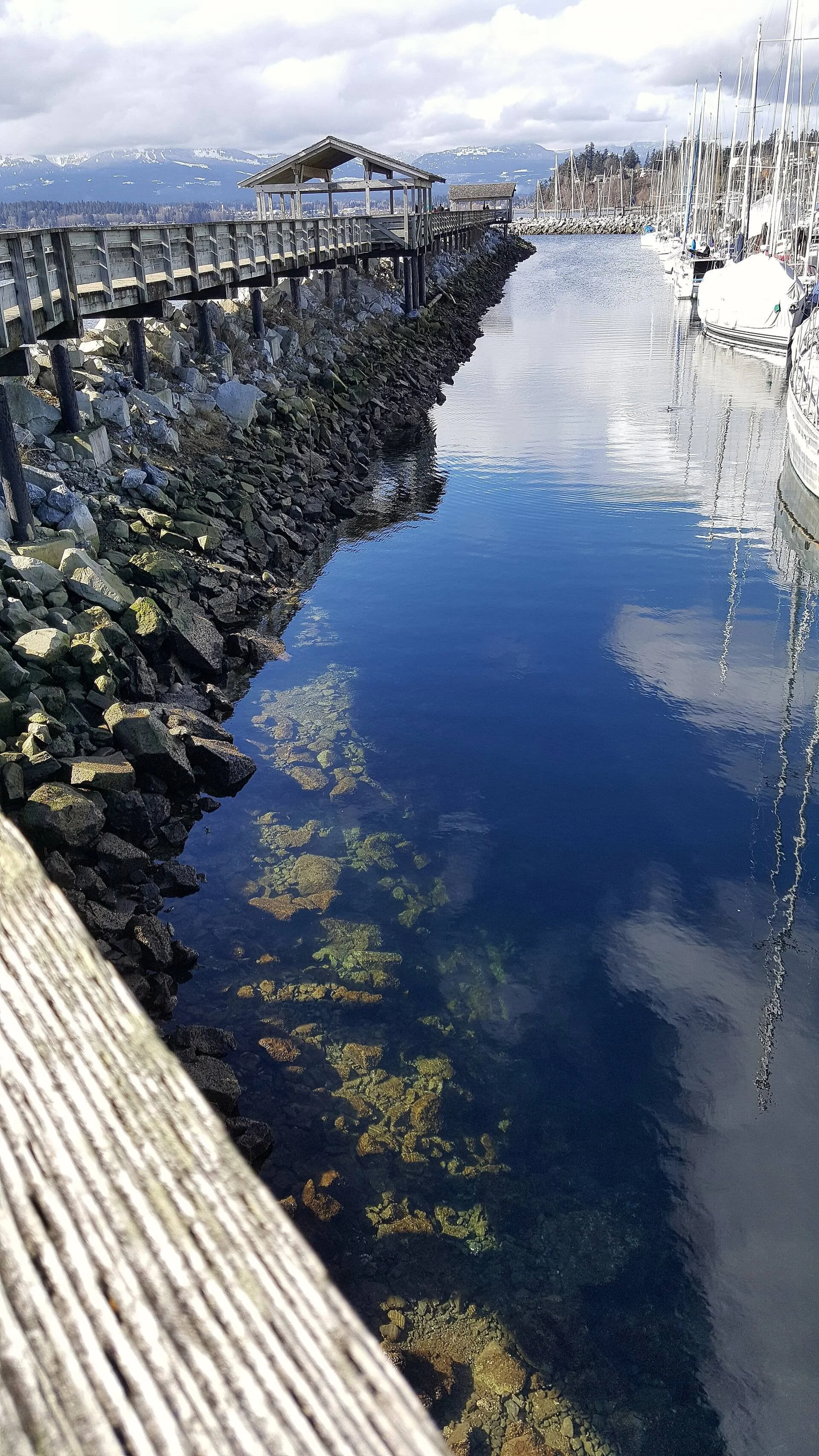 A wooden dock walkway beside calm water at the Comox marina.