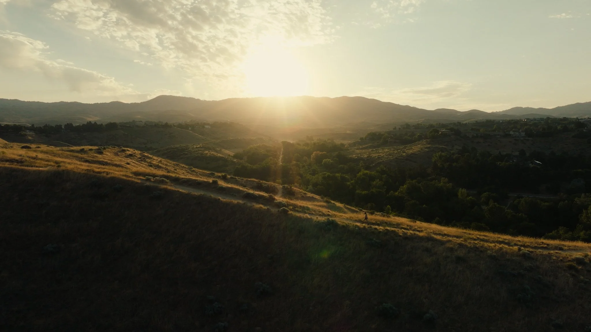 Still 2025-07-22 132149.jpg