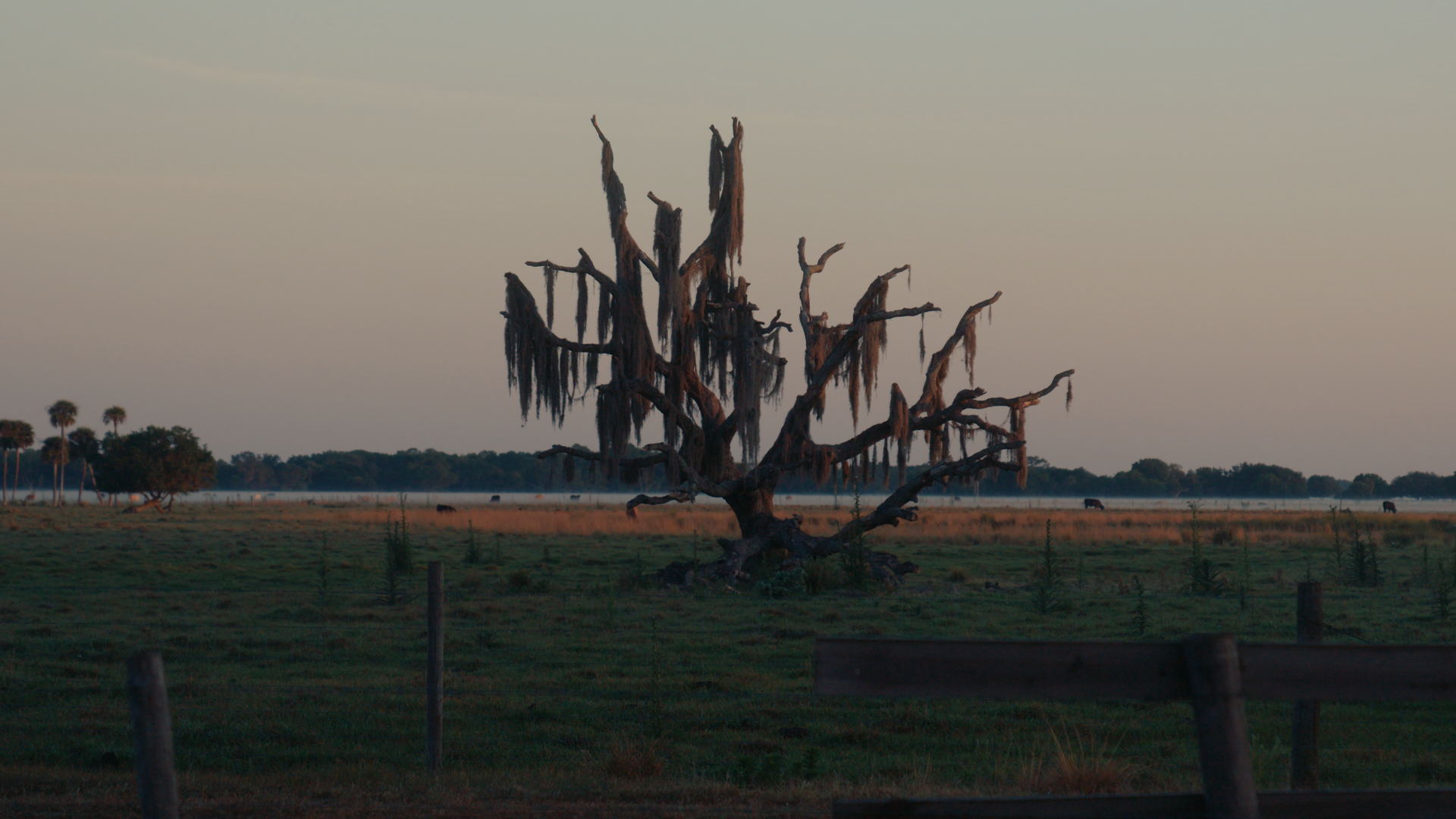 Still 2025-08-03 214514_1.355.1.T.png