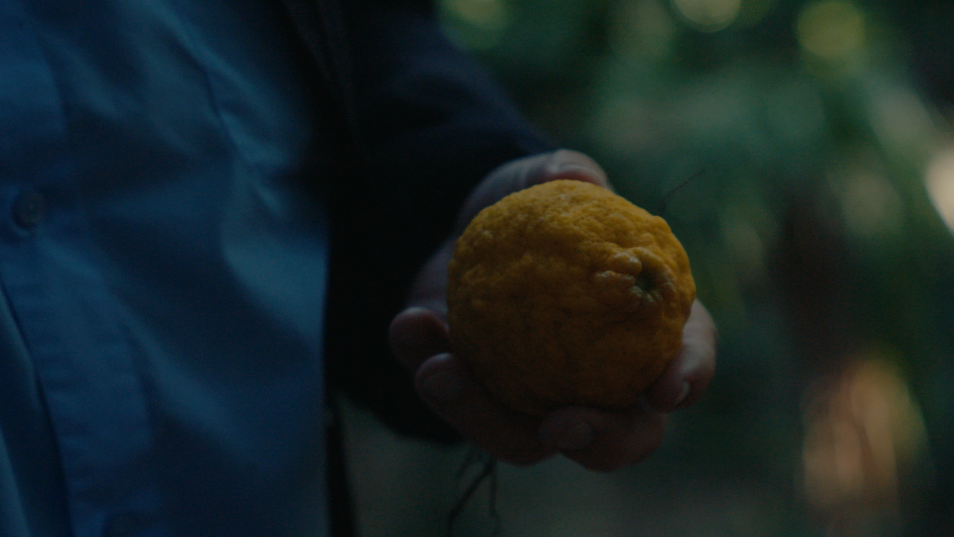 Still 2025-08-03 214514_1.368.1.png