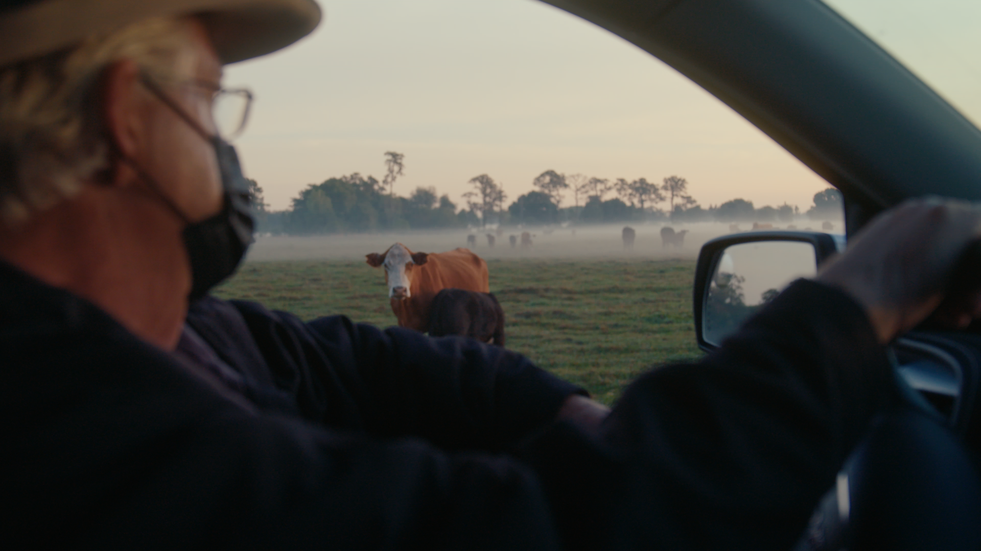 Still 2025-08-03 214514_1.408.1.png