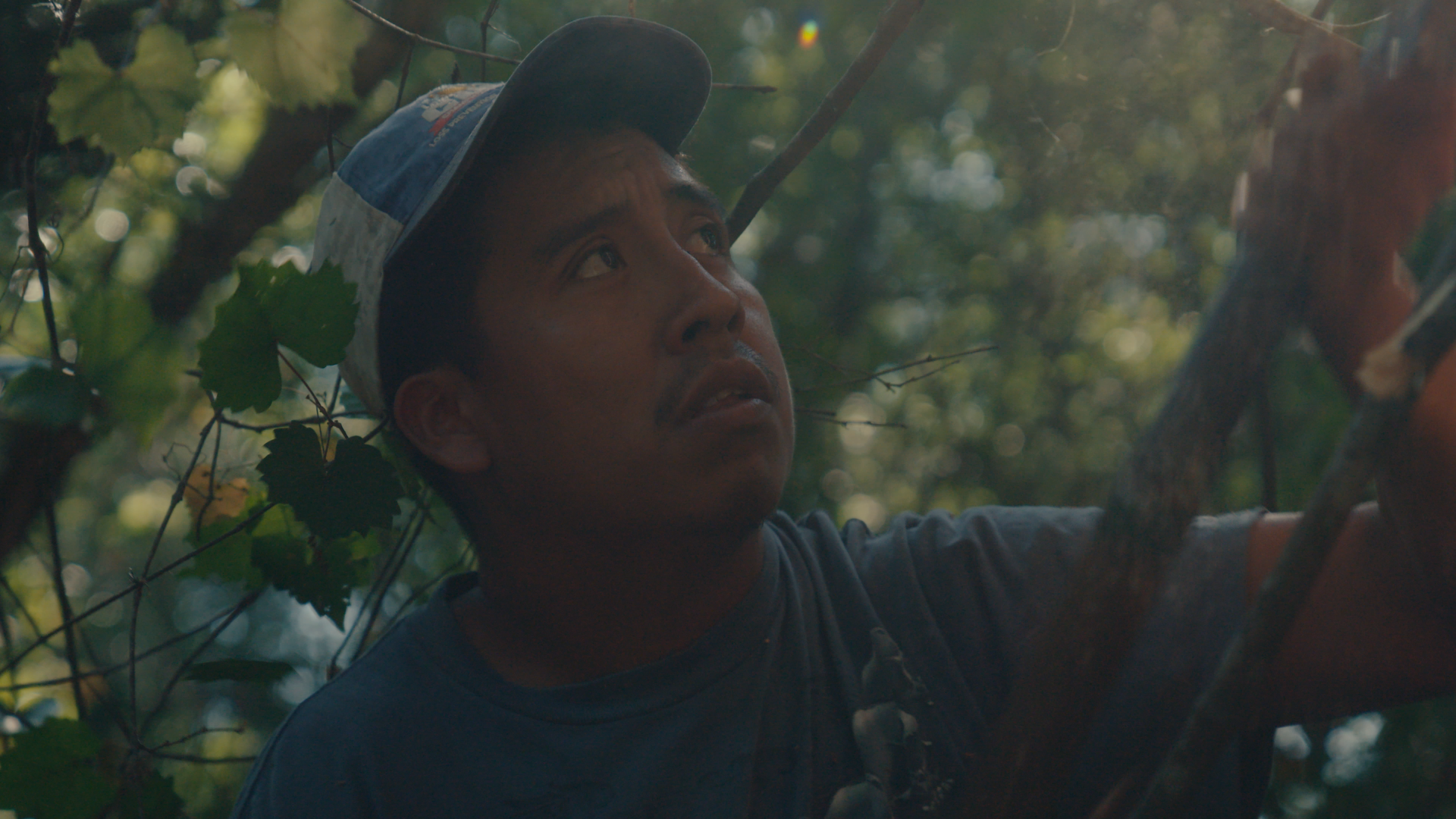 Still 2025-08-03 214514_1.441.1.png