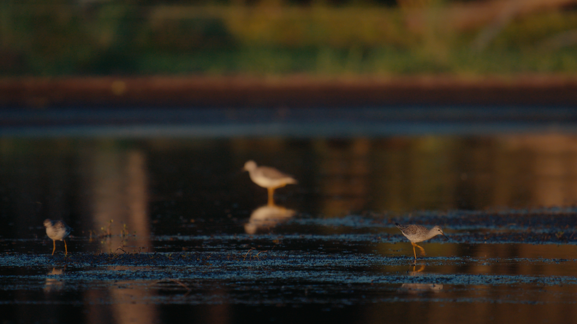 Still 2025-08-03 214514_1.486.2.png