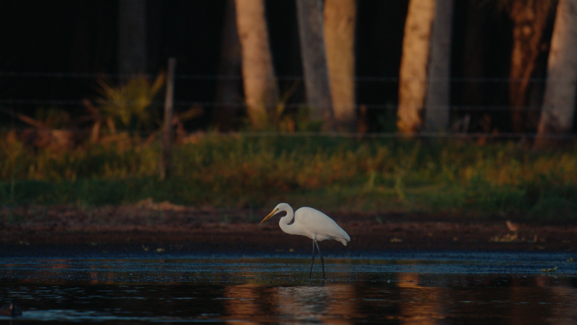 Still 2025-08-03 214514_1.488.1.png