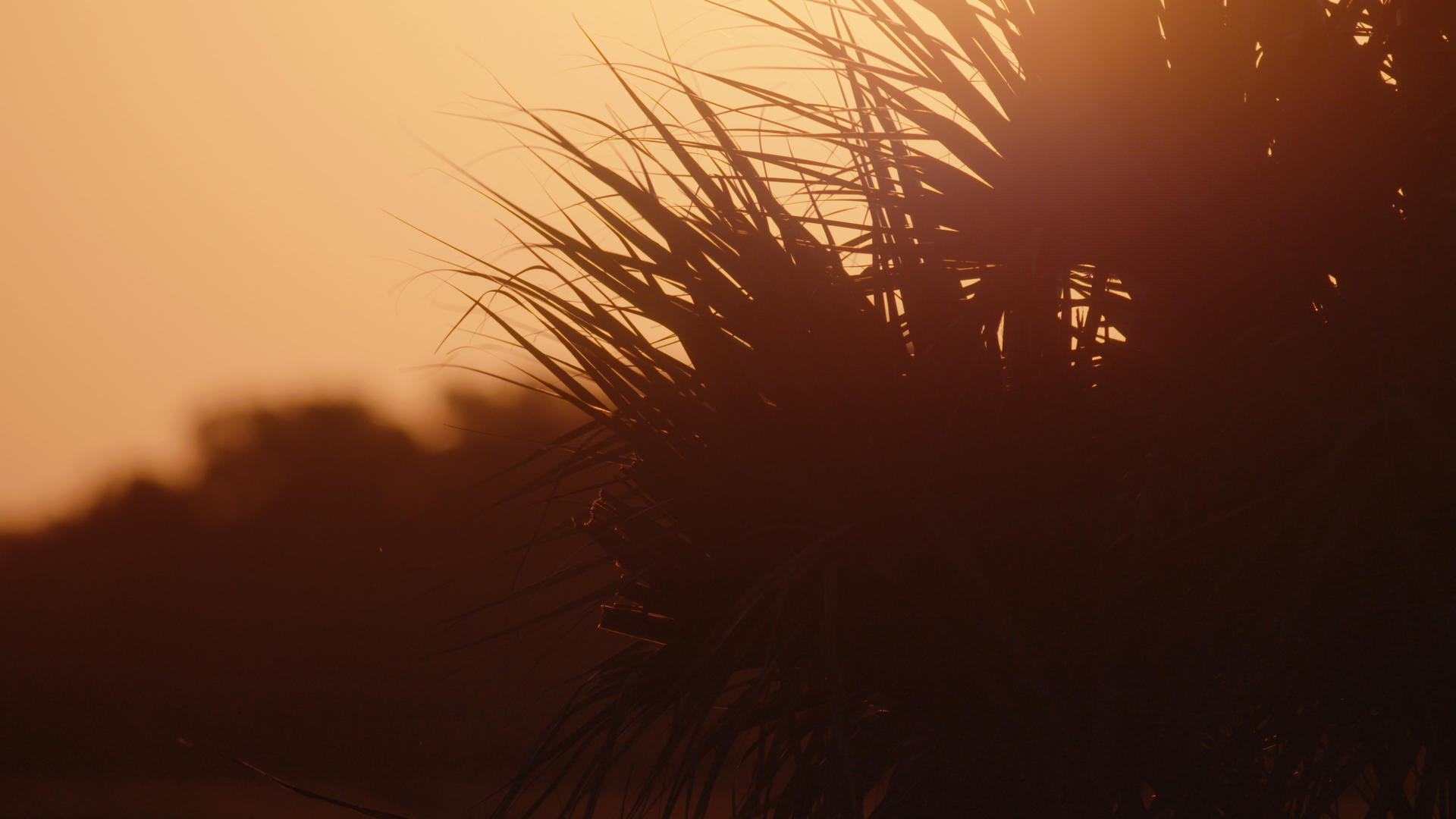 Still 2025-08-03 214514_1.490.1.png