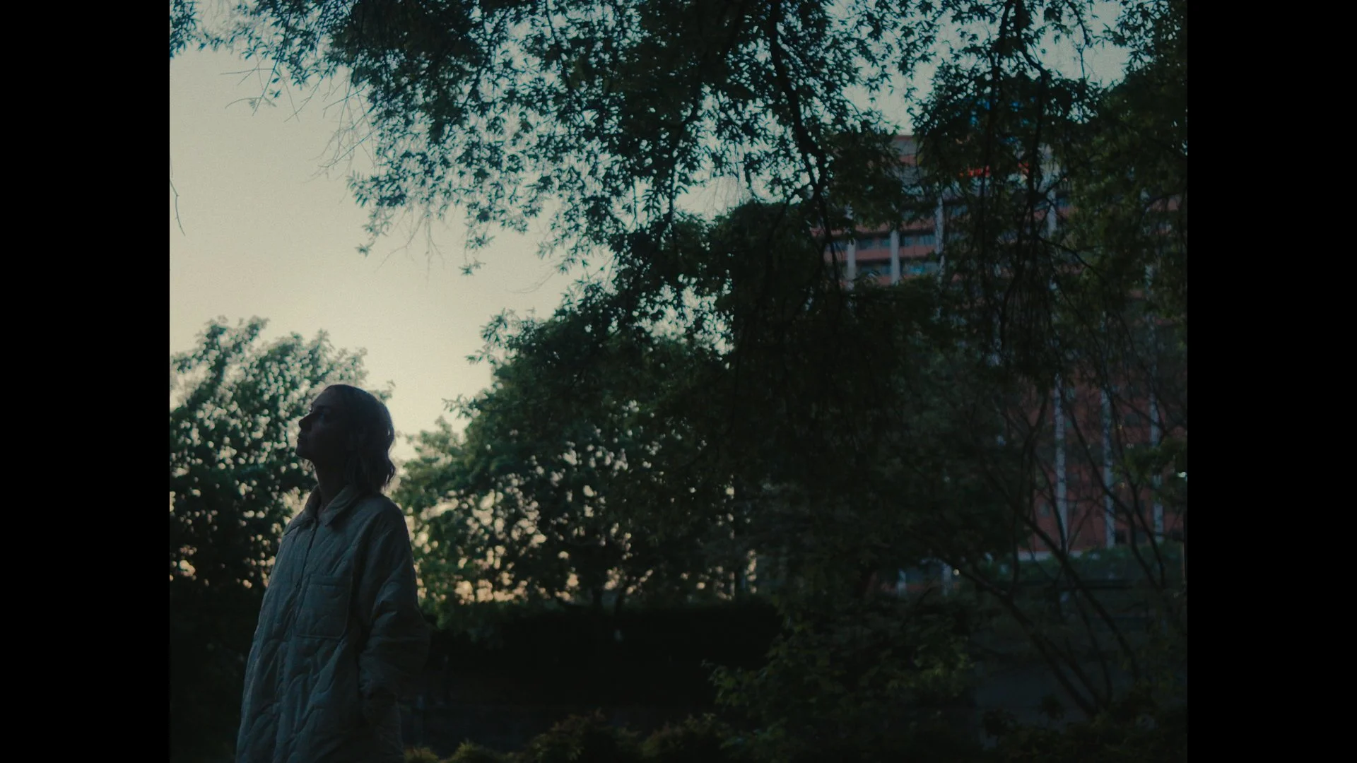 Still 2025-08-05 64411.jpg