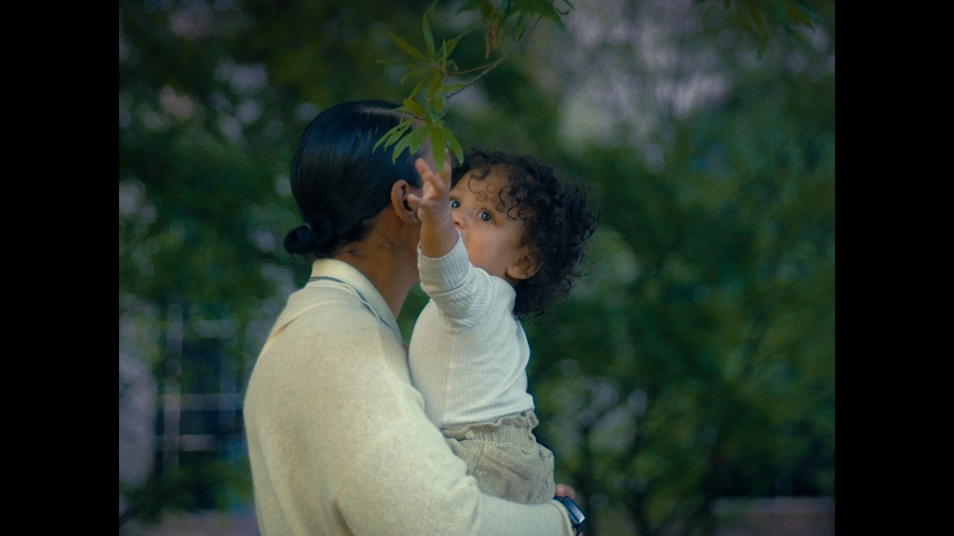 Still 2025-08-05 64421.jpg