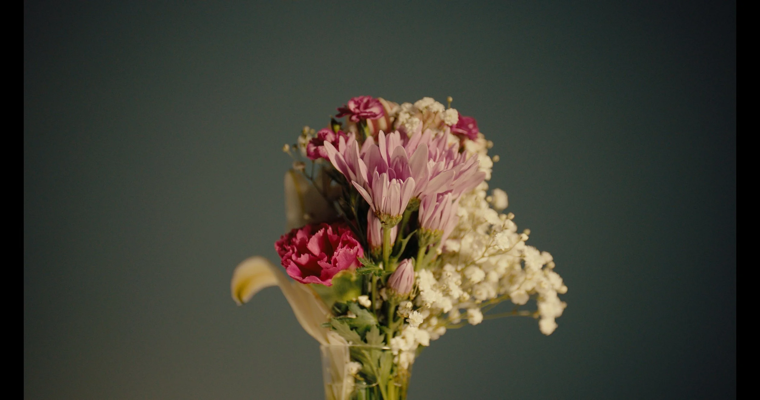 Still 2025-05-05 102310_1.13.1.jpg