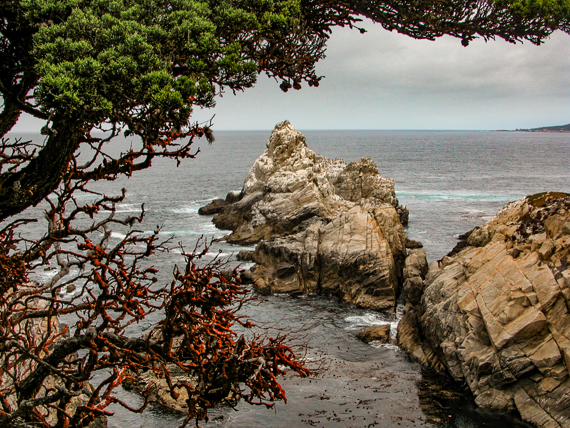 Point Logos, Monterey Bay, CA.