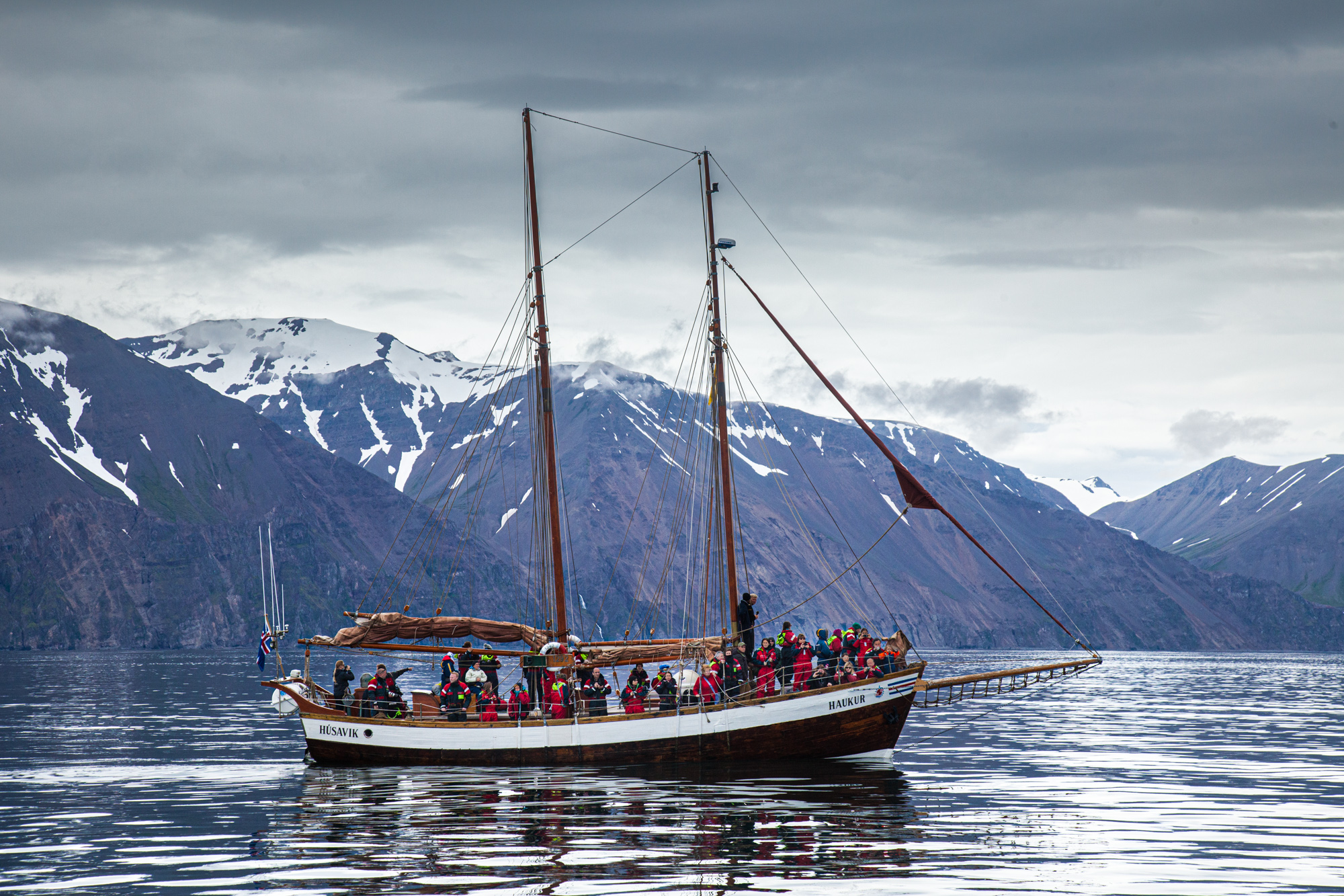 Iceland. Whale watching boat.