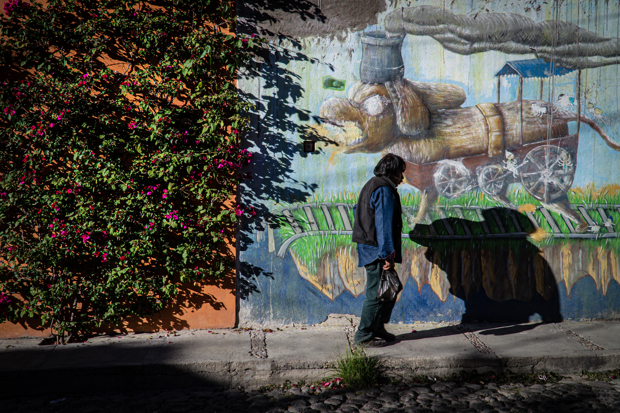 Heading home. San Miguel de Allende. 