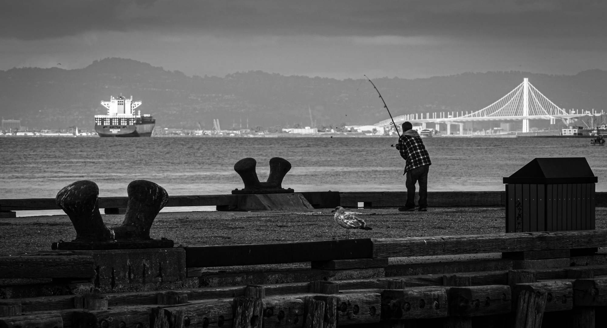 Got a big one. San Francisco, CA.