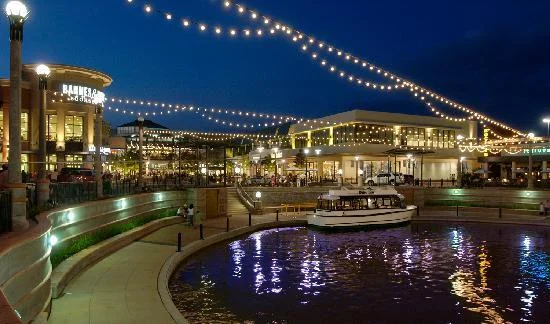 the woodlands.jpg