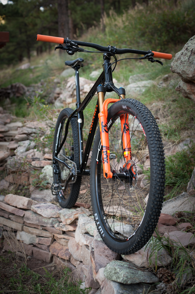 leenhoutsLRXC29-2.jpg
