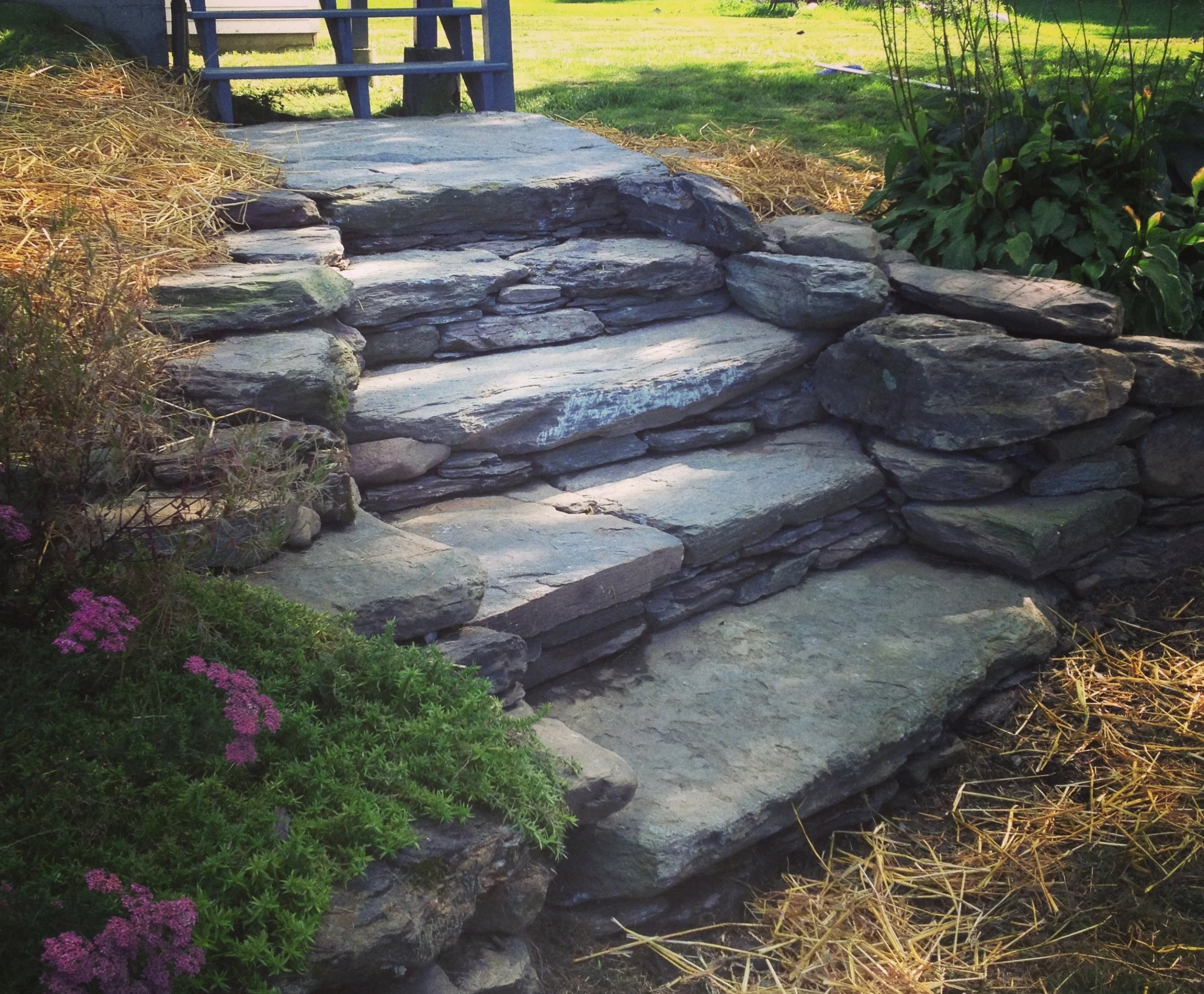 FFern Homepage Image Original.JPG