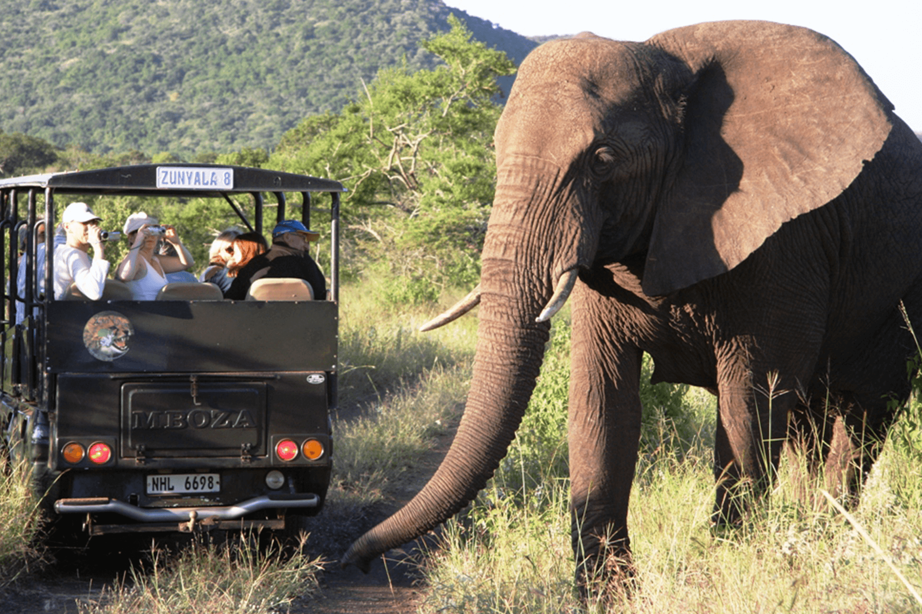 elephant-game-drive.png