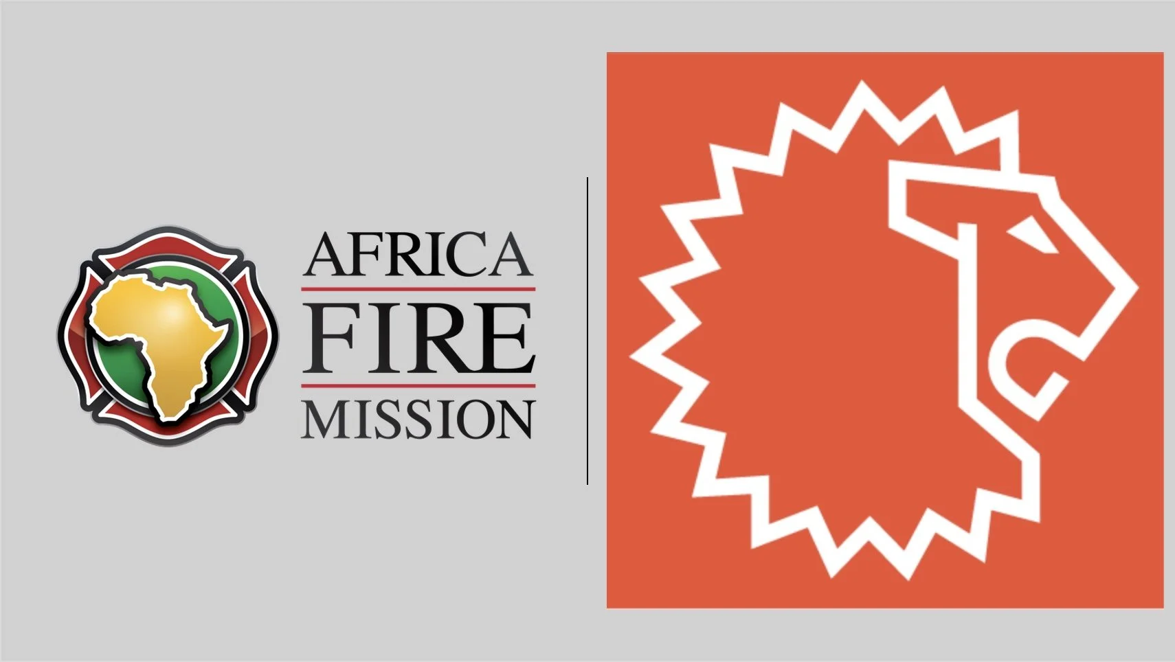 AFM Receives Grant from the LION Foundation