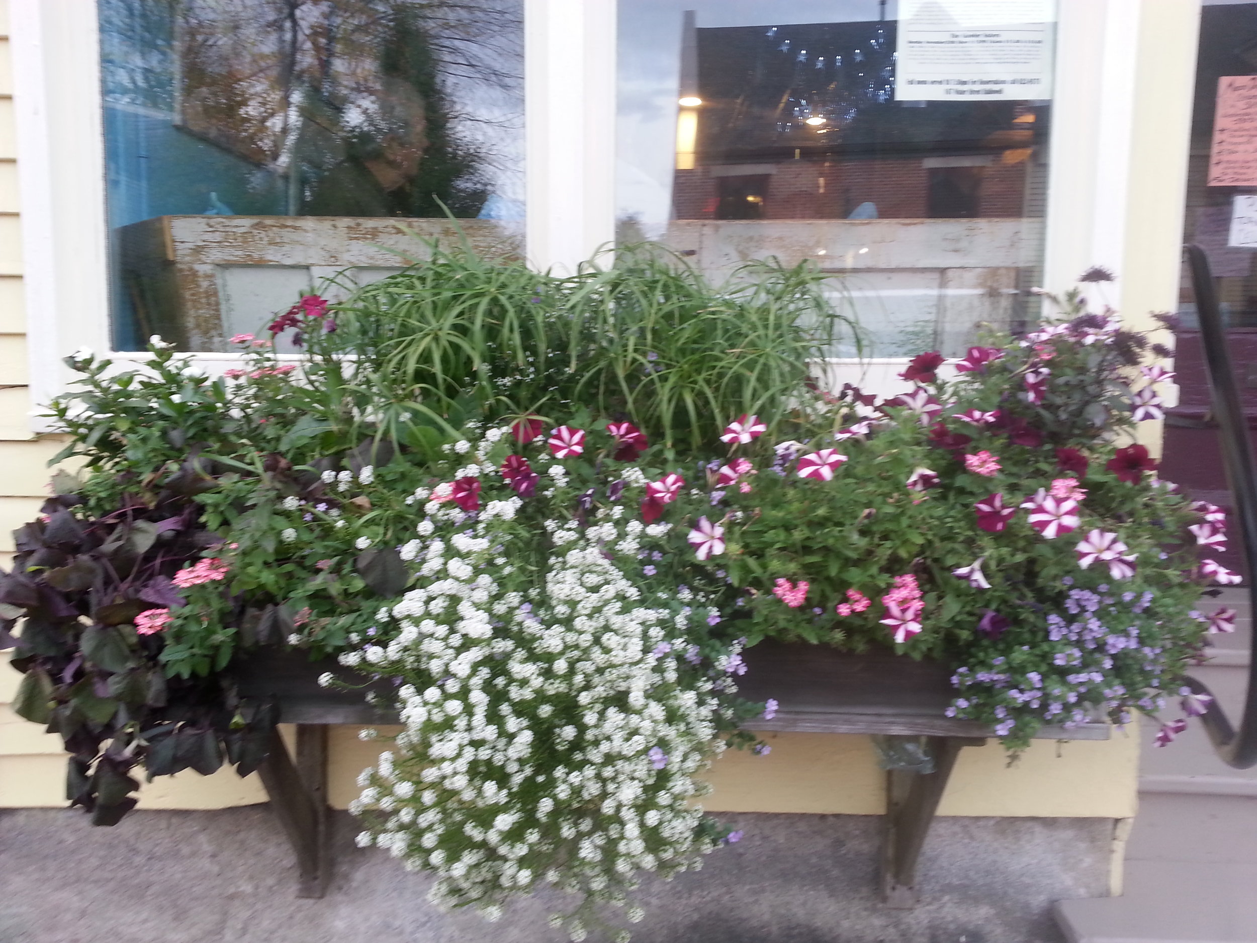 window box.jpg