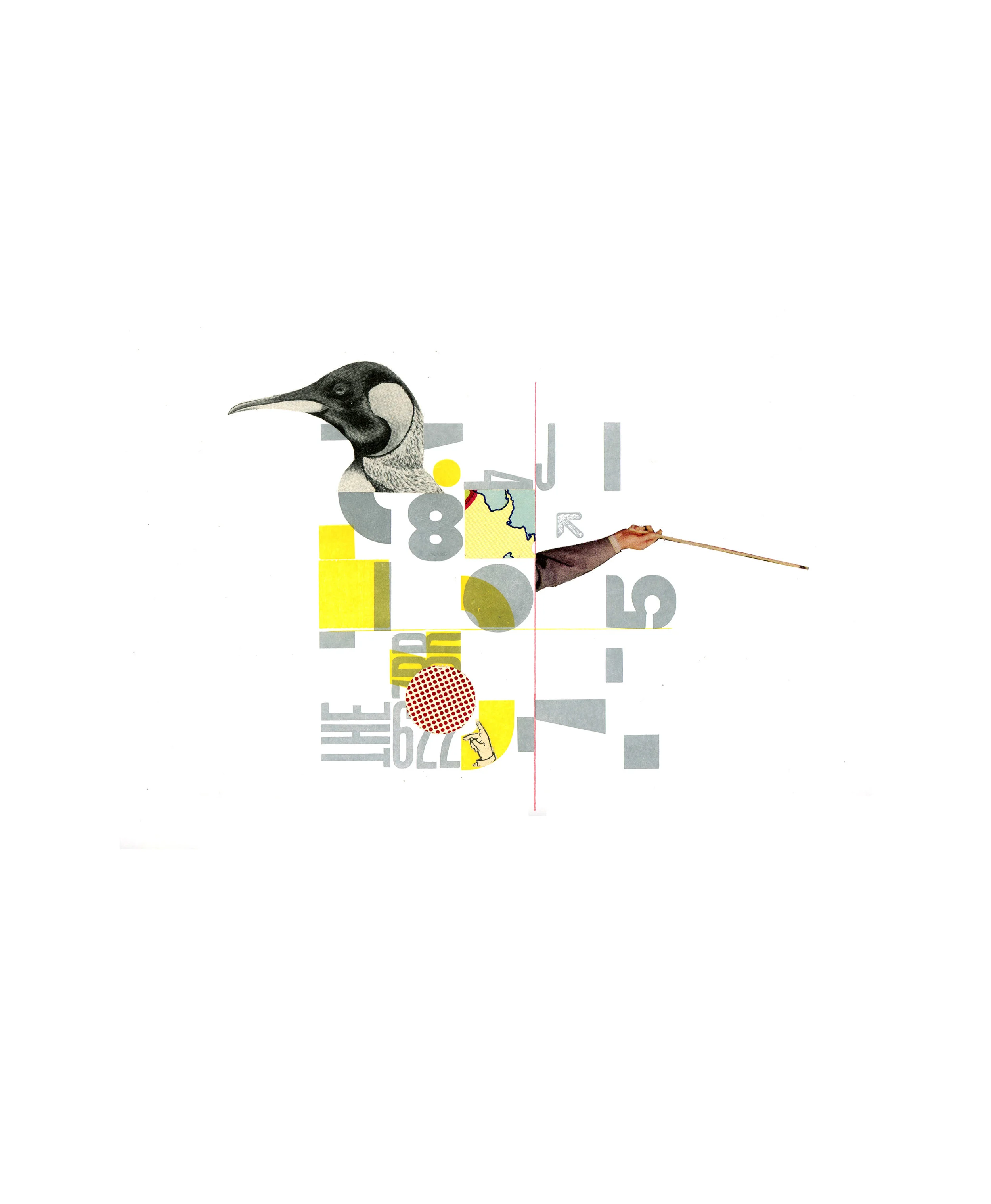 5x5_Bird_McManus.jpg