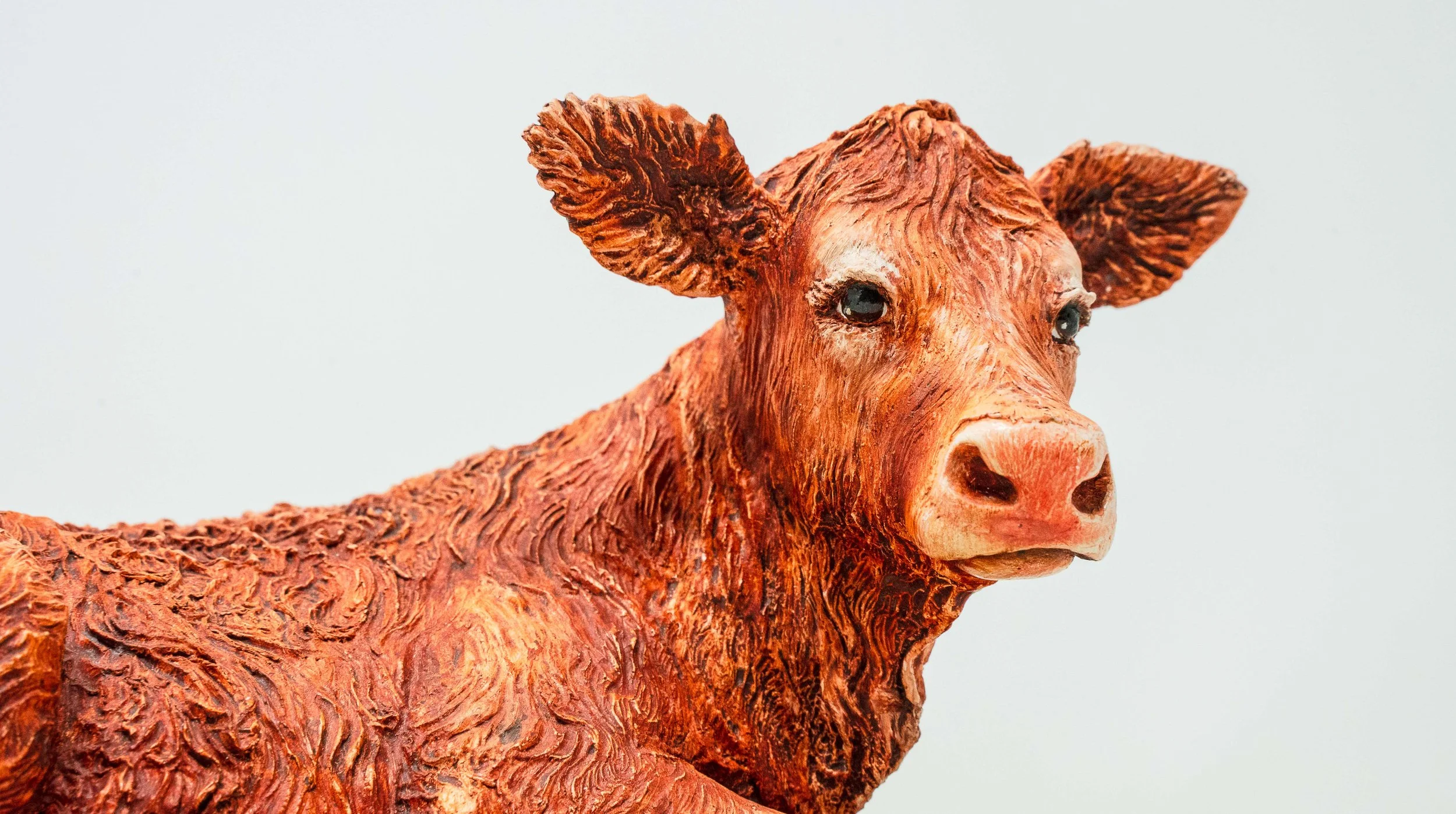 July 23rd Launch cow edits mark II -19.jpg