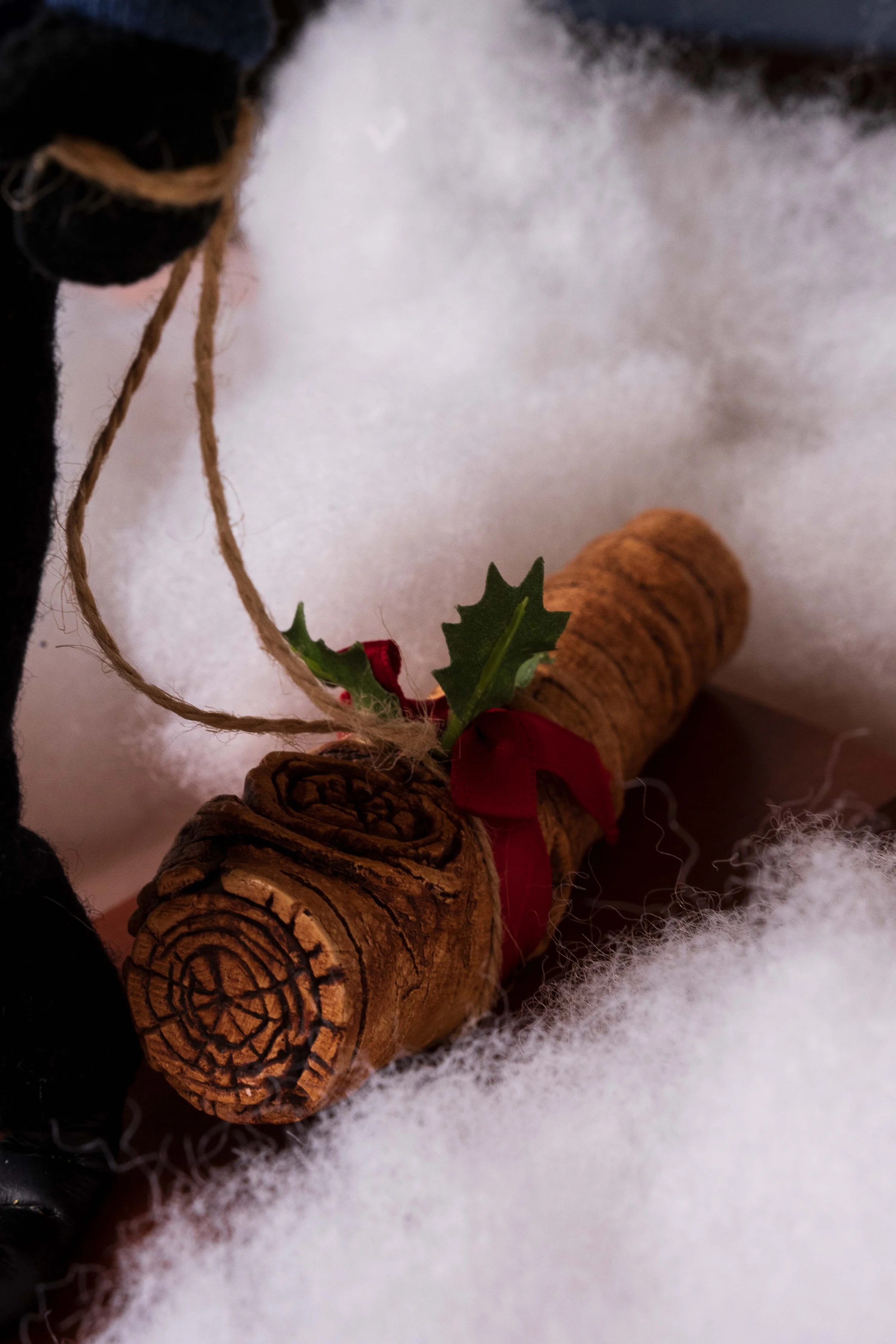 Caroller Pictures -94.jpg