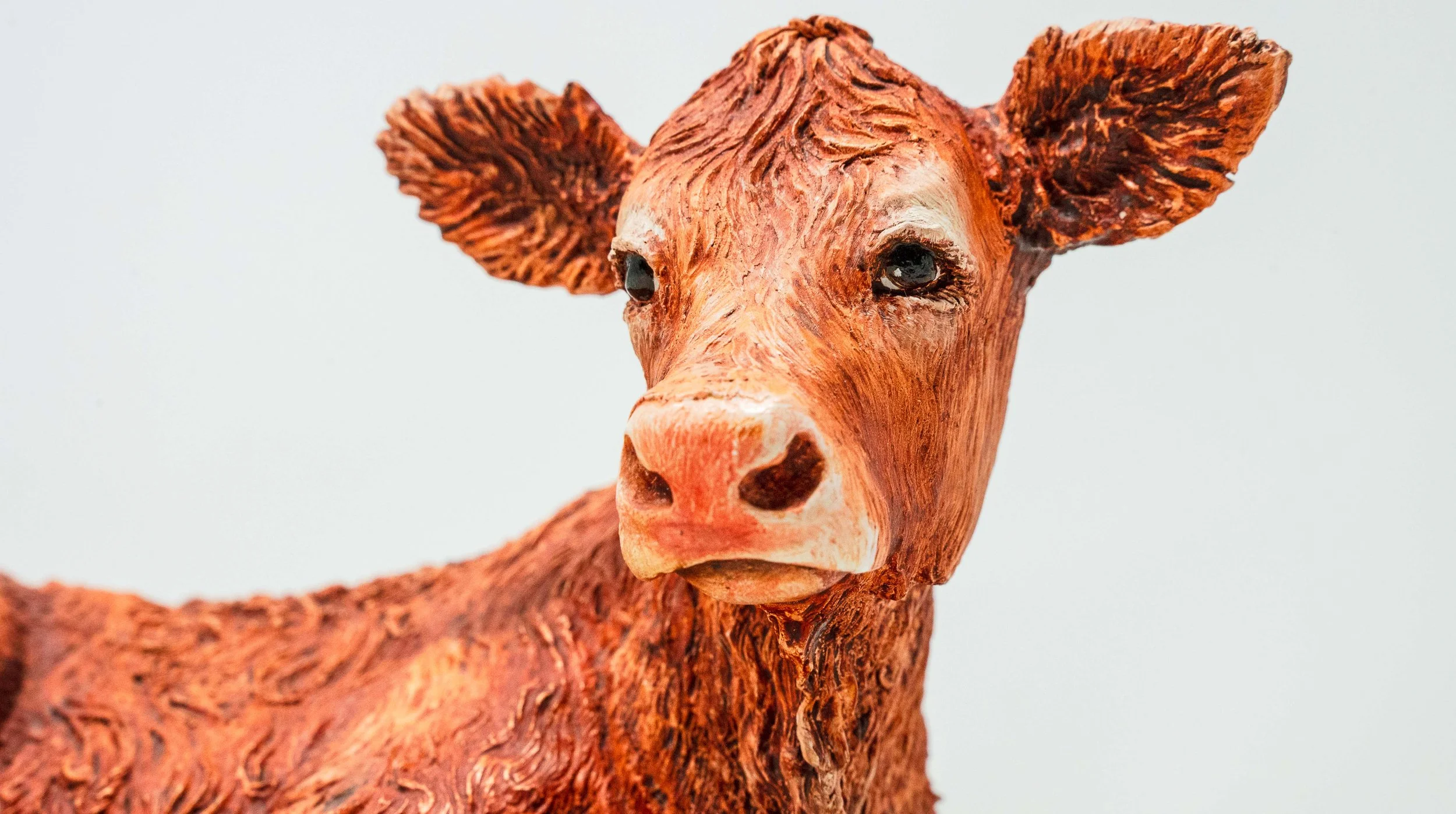 The Nativity Cow
