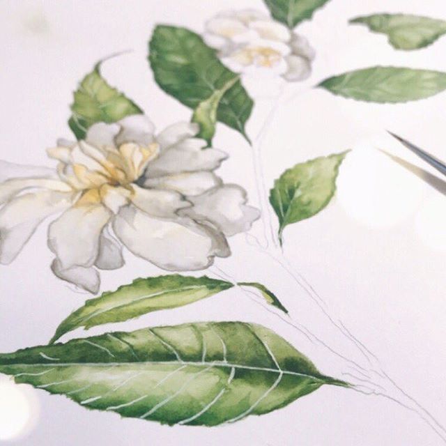 Botanicals in the making
.
.
.
.
#inspiration #flowers #flashesofdelight #persuepretty #watercolour #watercolor #bespoke #handpainted  #customillustration​ ​#design #peony #freshblooms #colours #flowers #sopretty #flashesofdelight #florals #instabloo