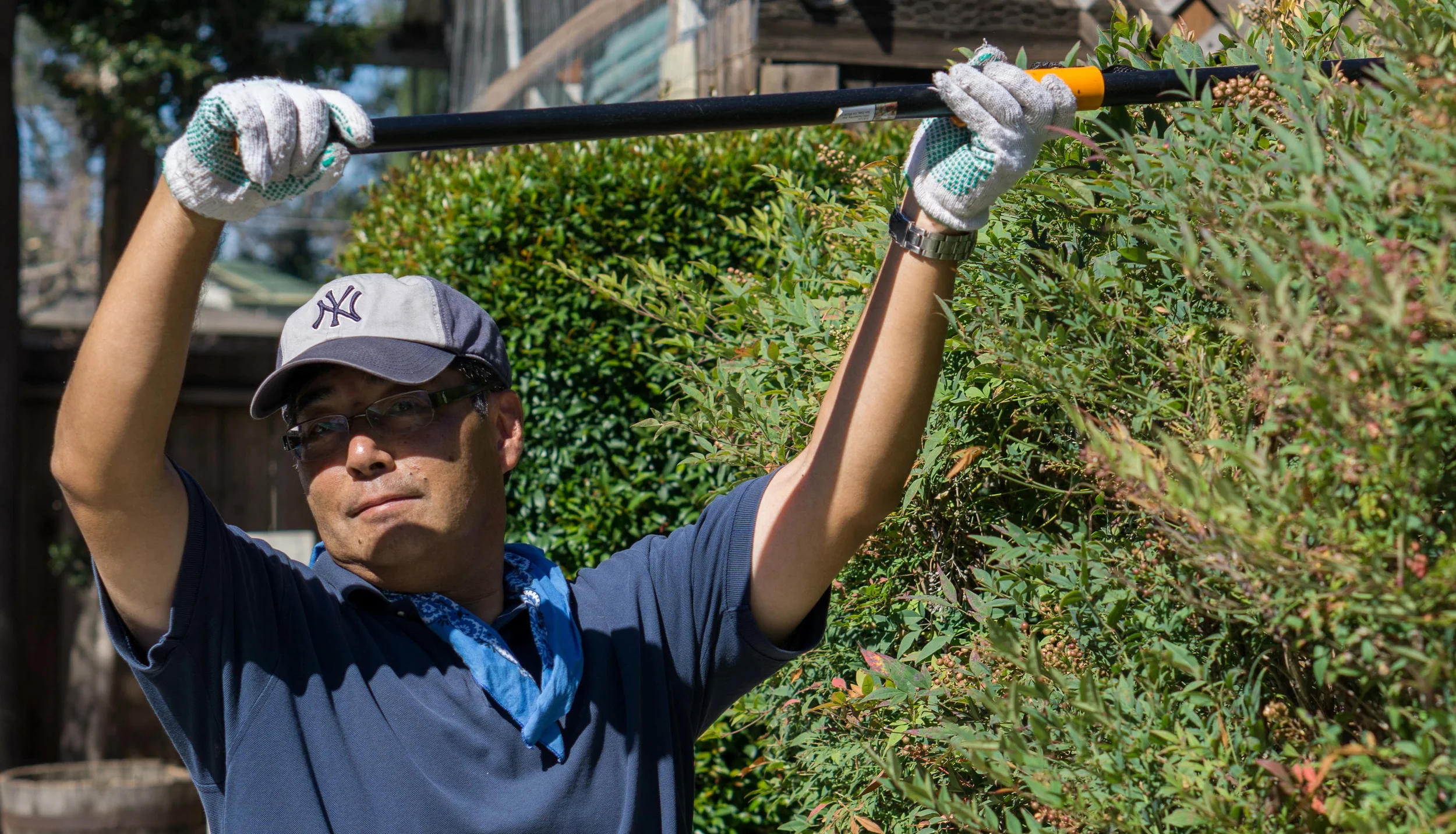 CleanUpDay-2.jpg