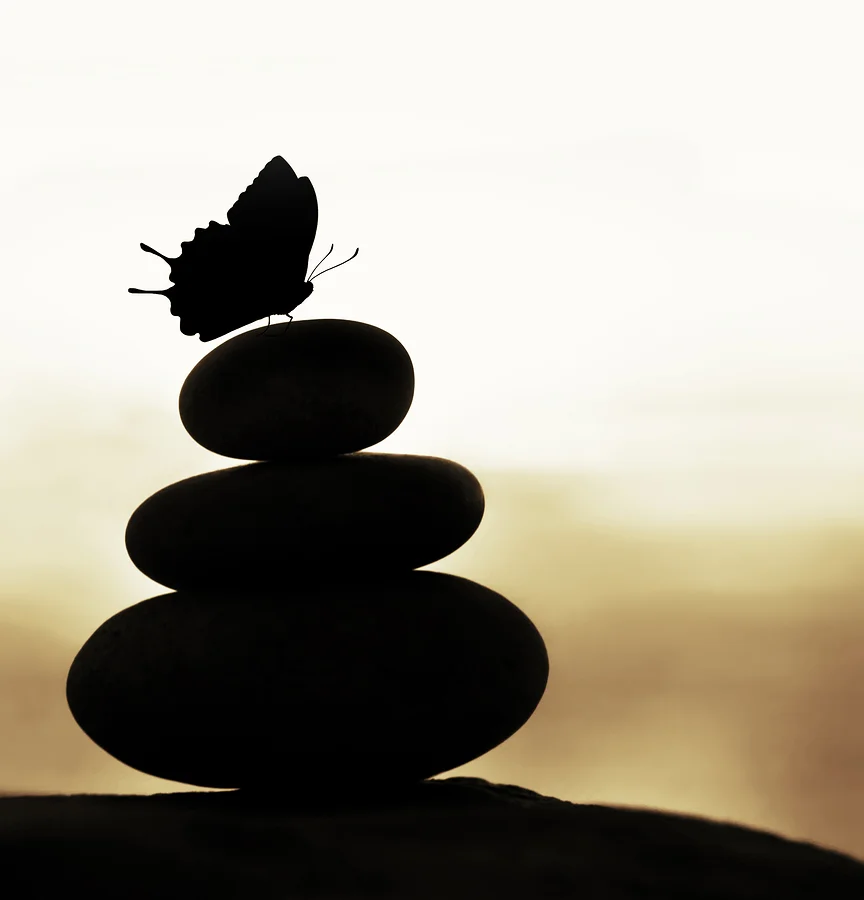 bigstock-Image-of-zen-balance-still-lif-38719861-1.jpg