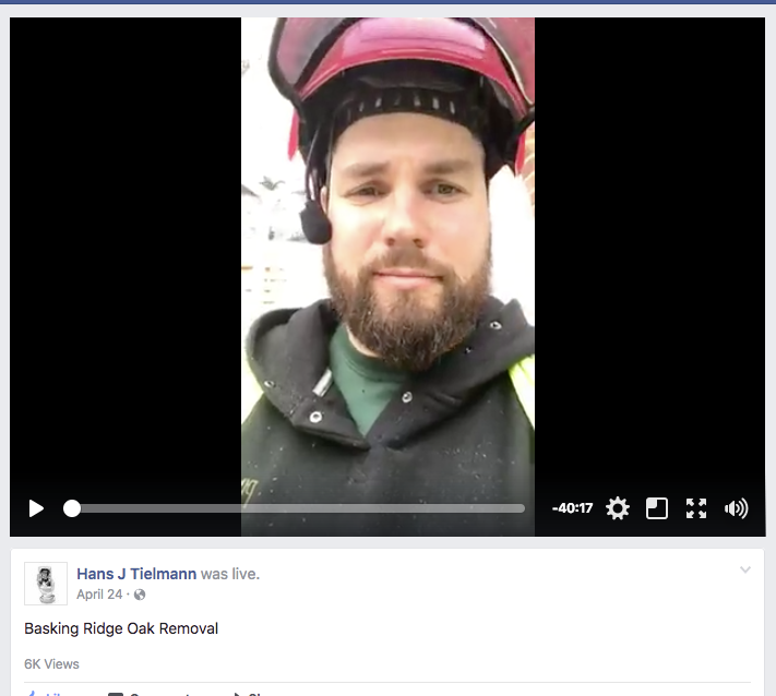 LIVE: Basking Ridge Tree Removal