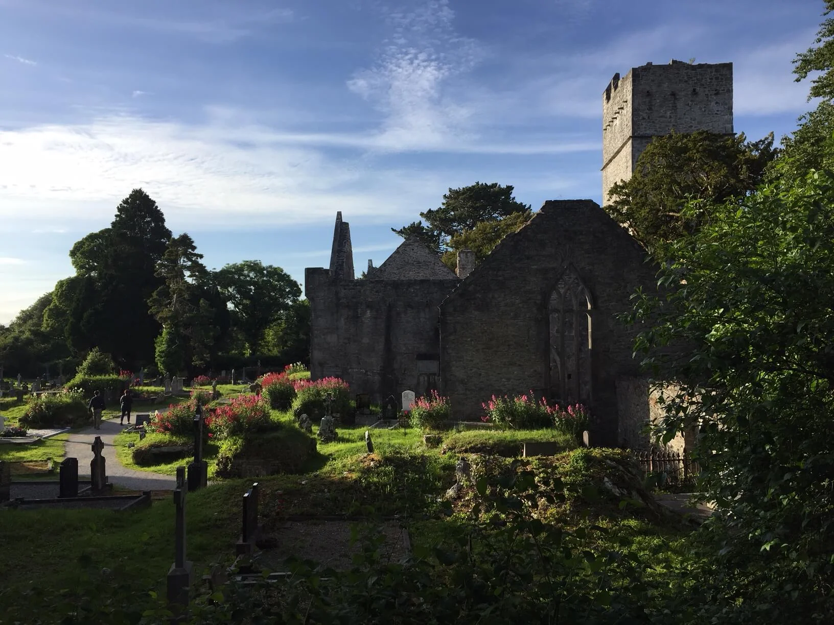 Muckross Abbey