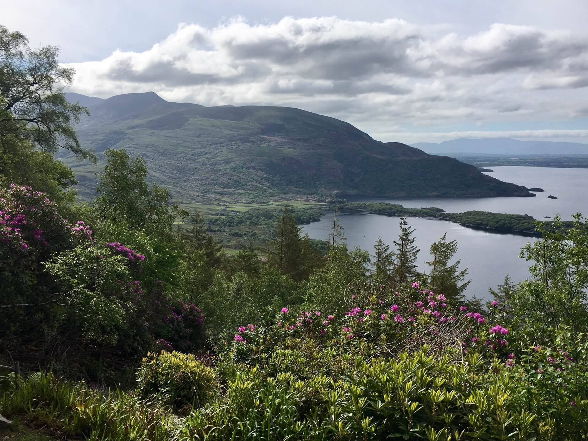 View from Torc Mountain in Killarney National Park, Ireland