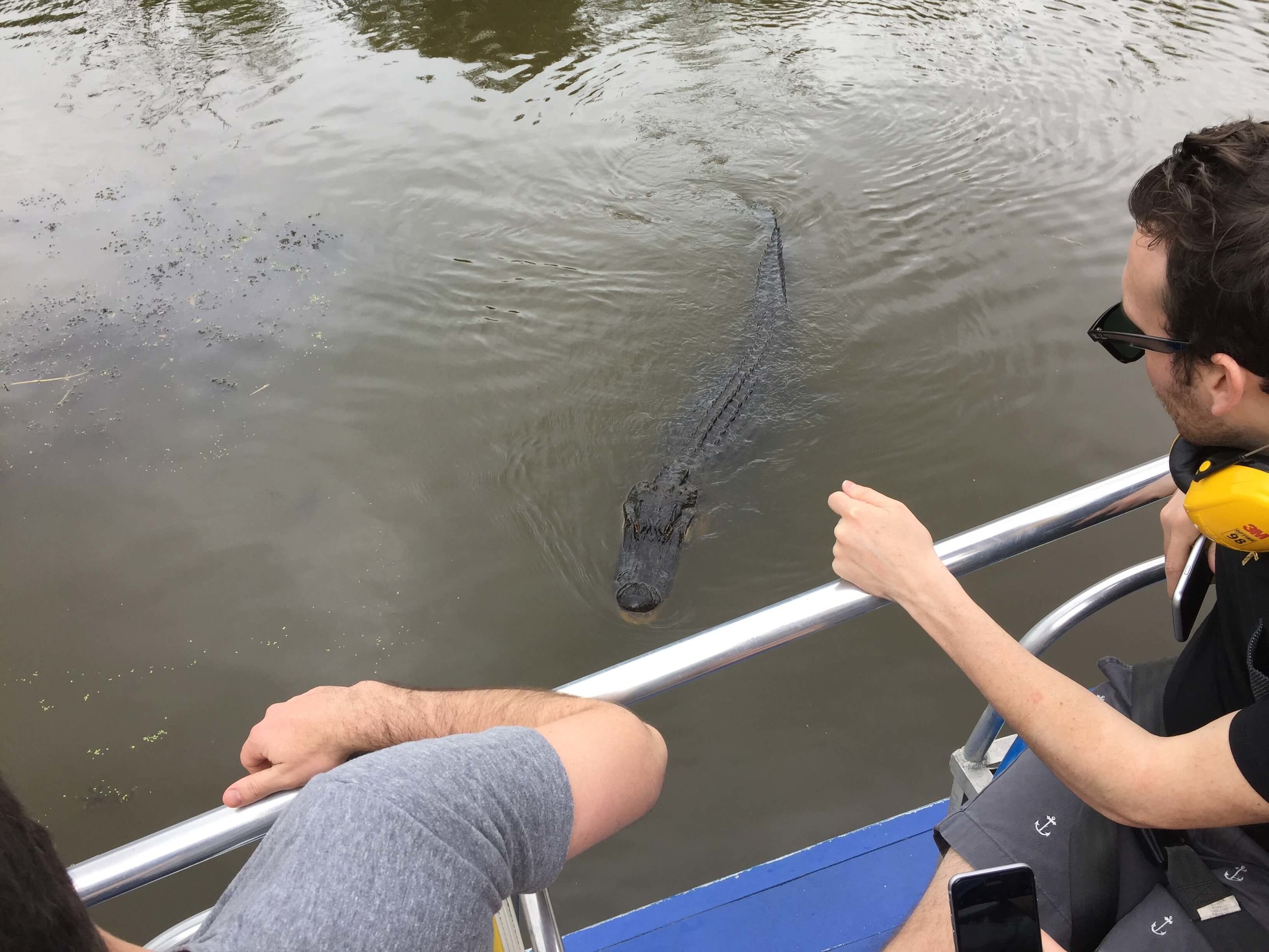 Airboat Tour Near New Orleans