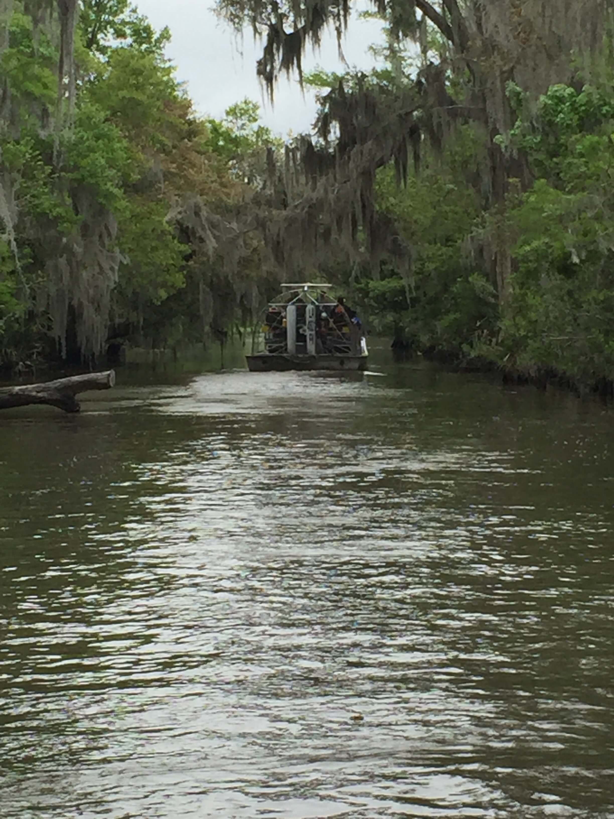 Airboat Swamp Tour