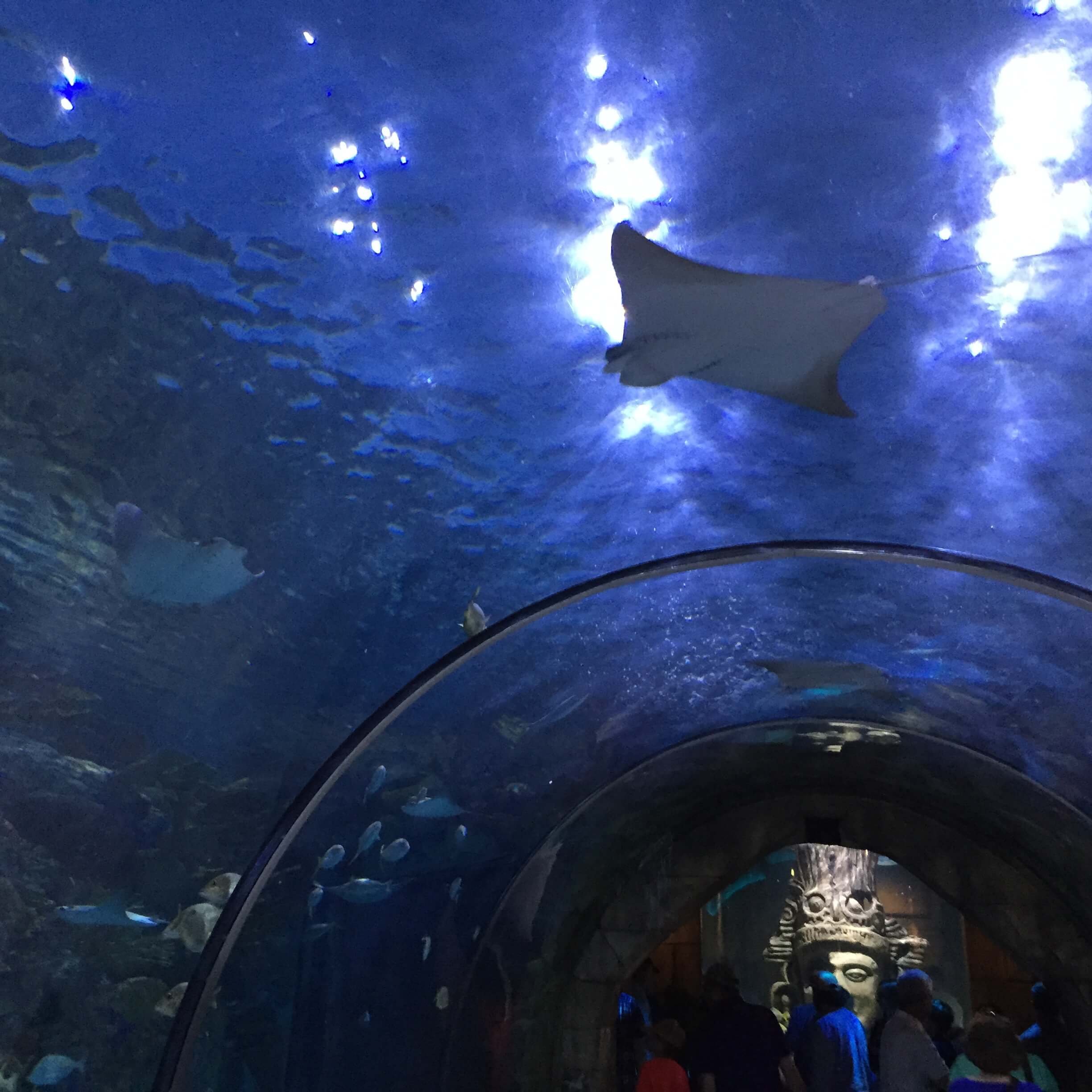 New Orleans' Aquarium