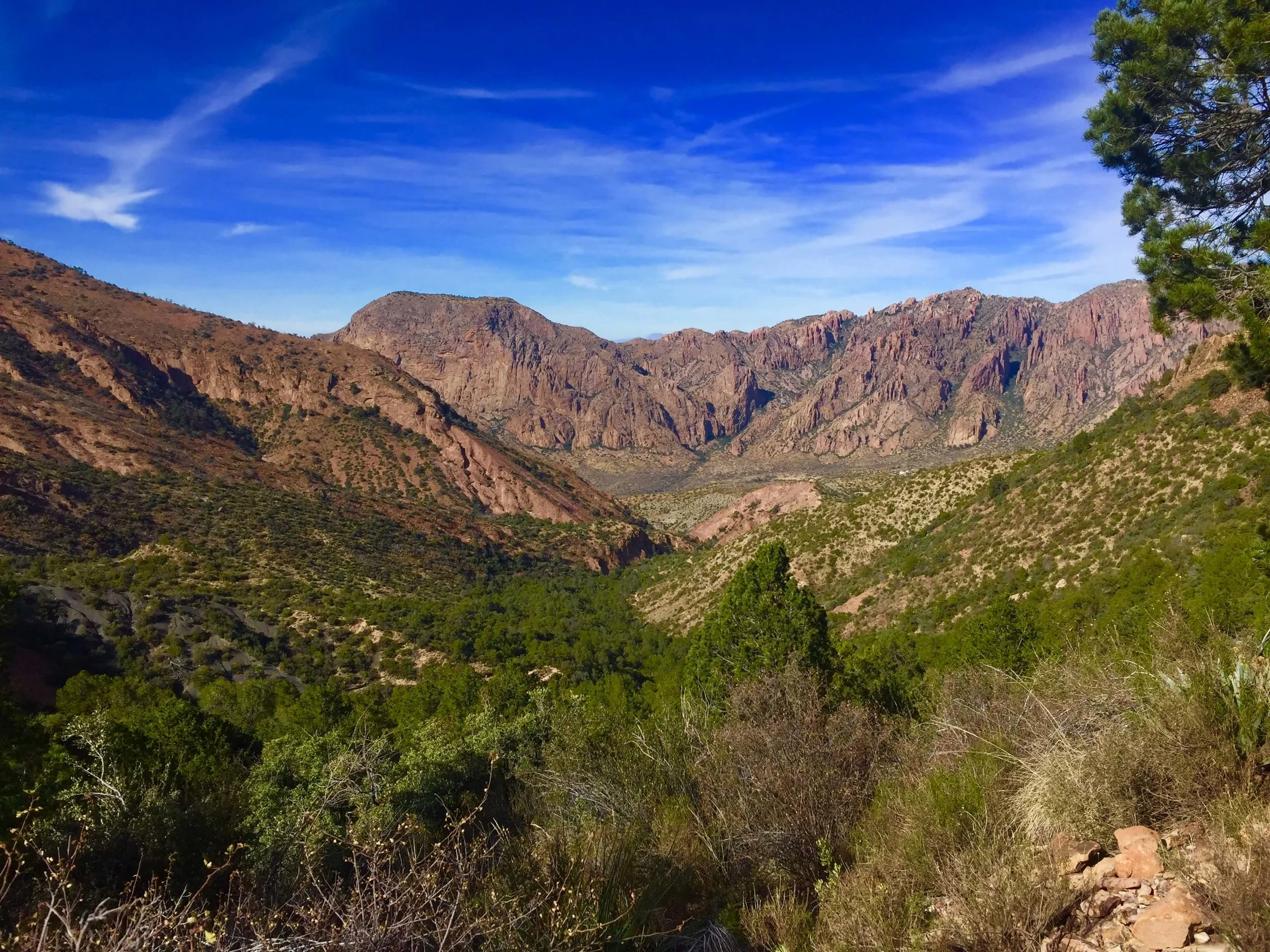 4 Days in Big Bend National Park