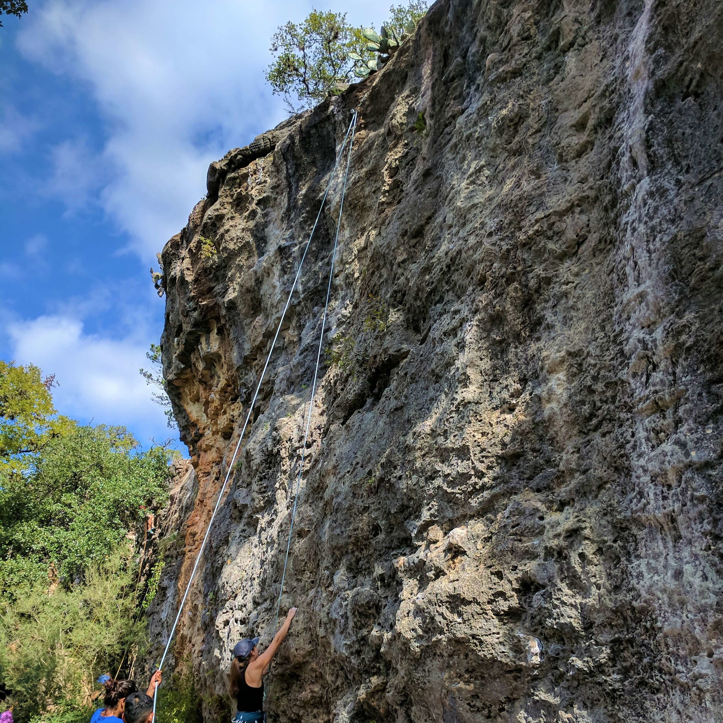 Climbing on Dead Cats Wall