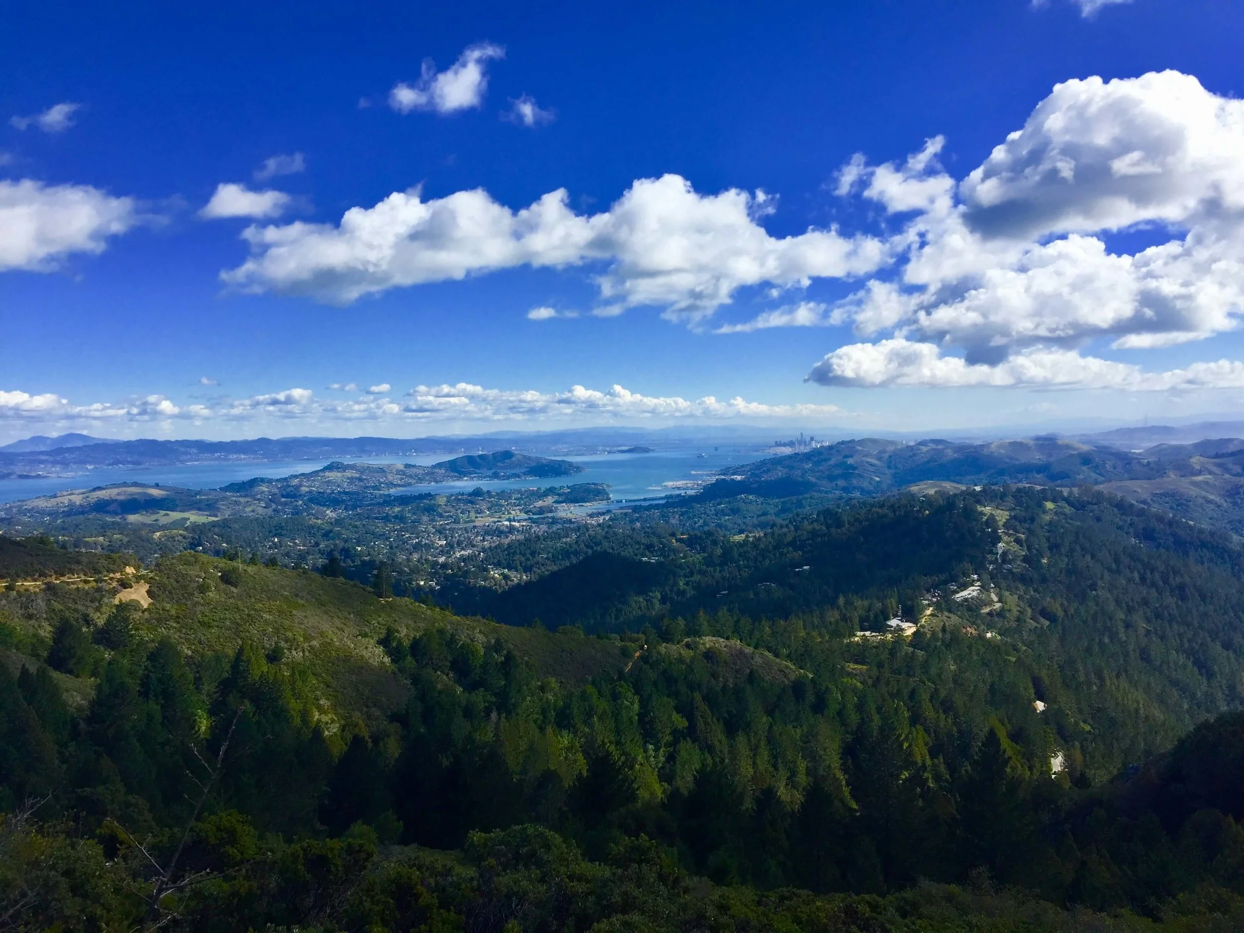 Experience the North Bay in 1 Day