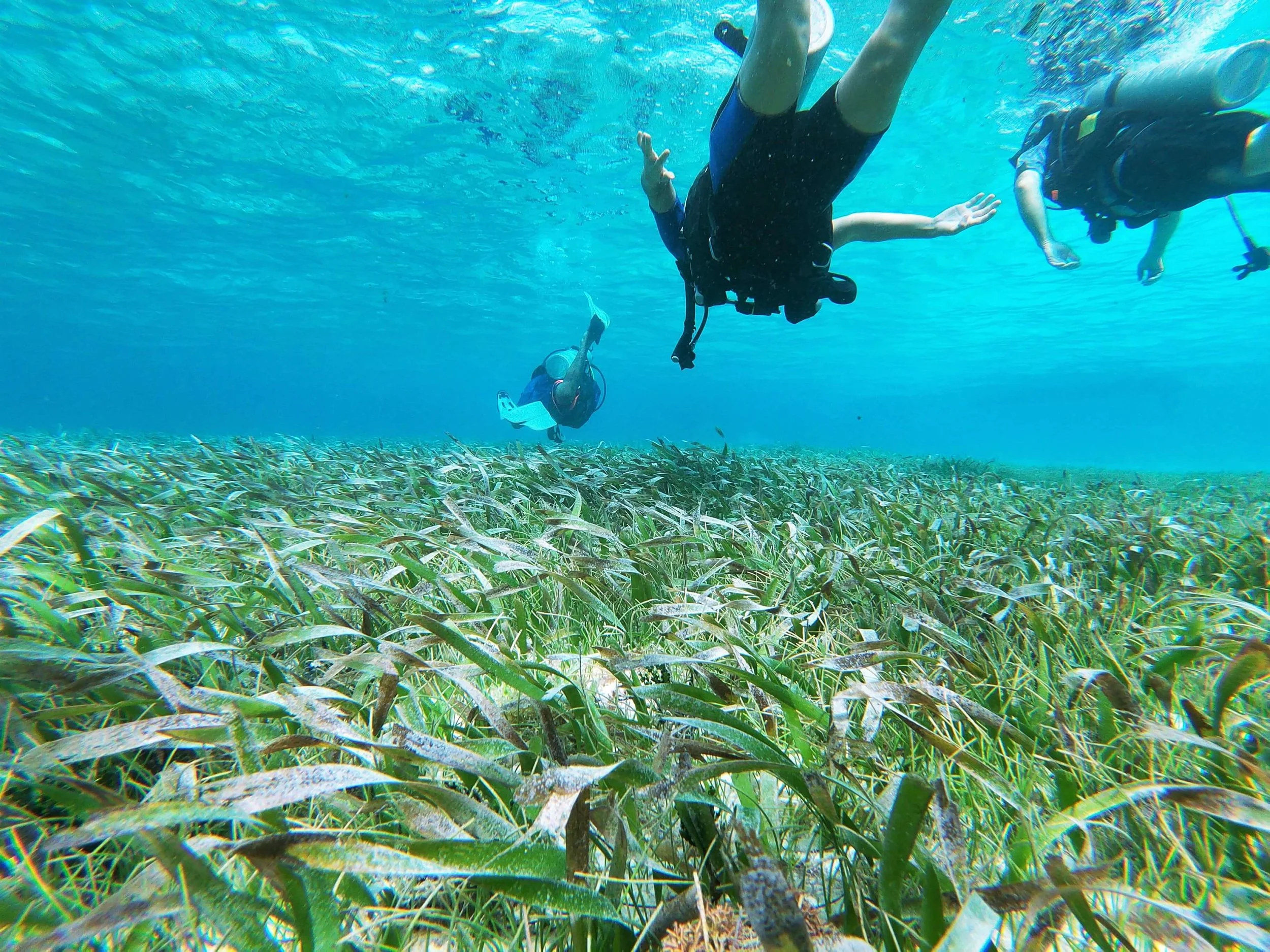 3 Things You Must Do in Belize